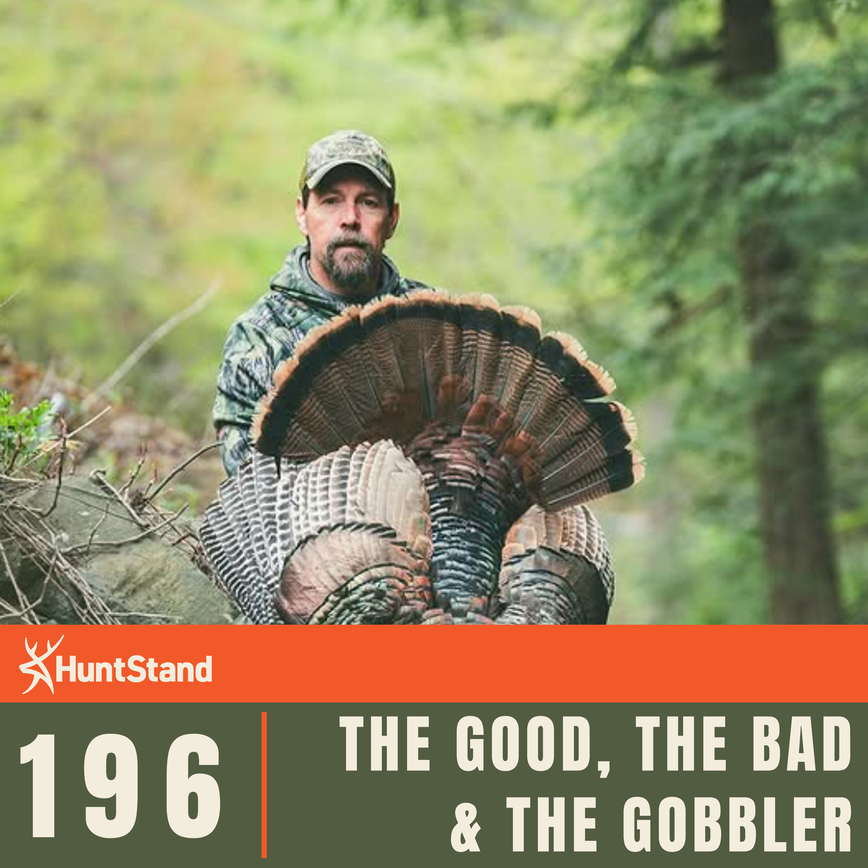 The Good, The Bad & The Gobbler: Wild Turkey Truths & Threats