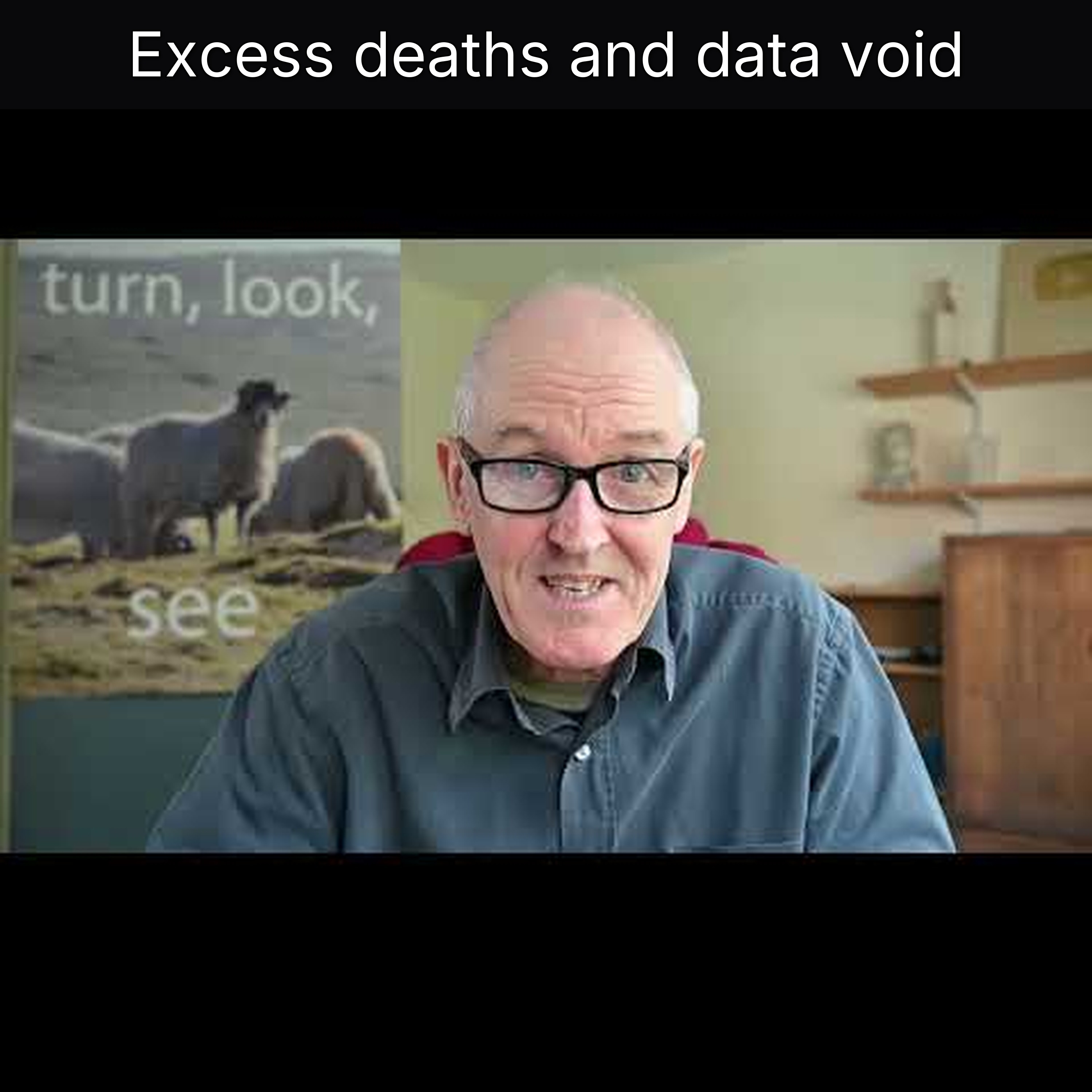 Excess deaths and data void