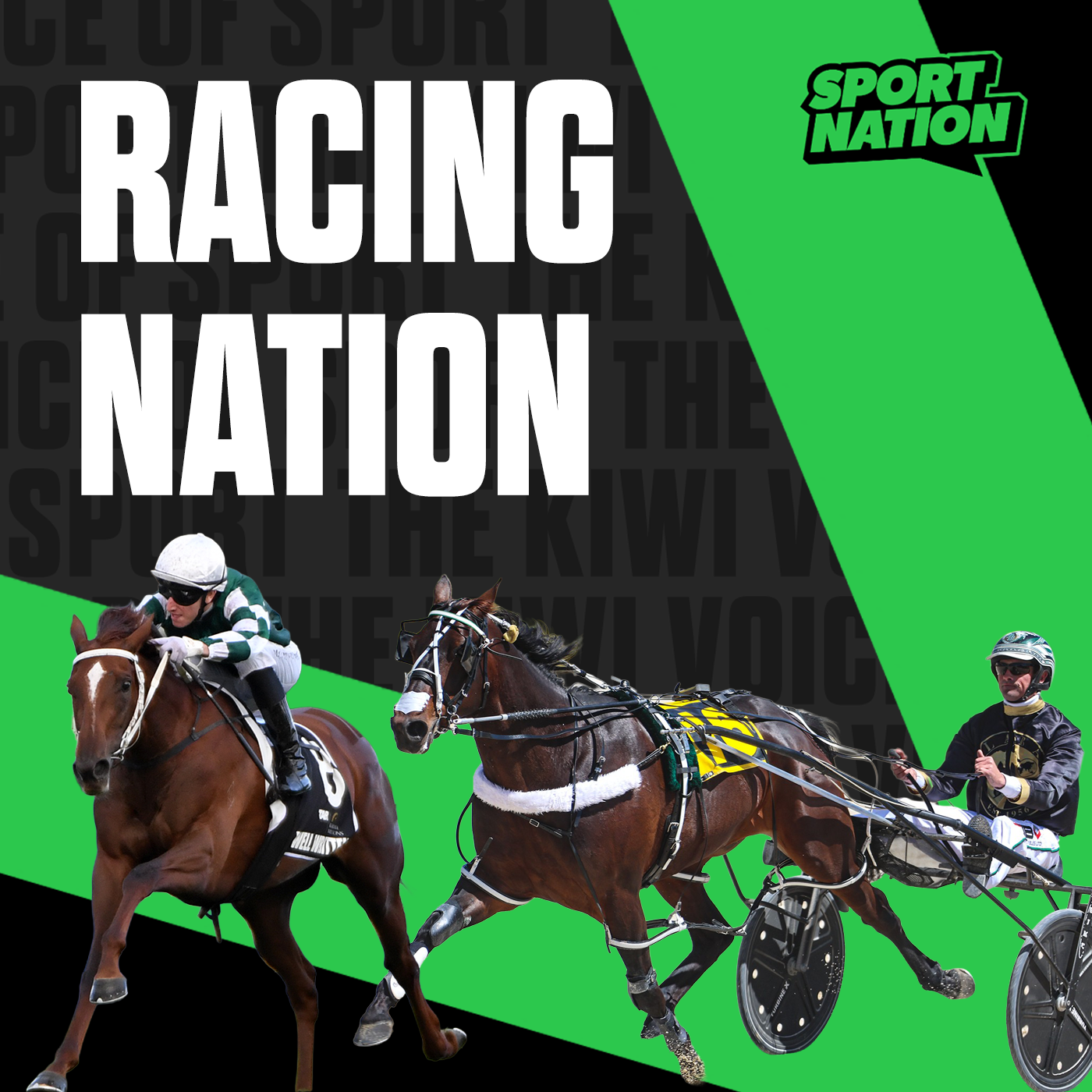 Jumps Jockey Retirement | Trainer & Retiring Jumps Jockey Shaun Fannin (29/4/26) episode artwork