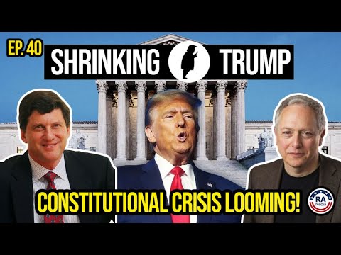 Will the courts be Democracy’s last stand? artwork