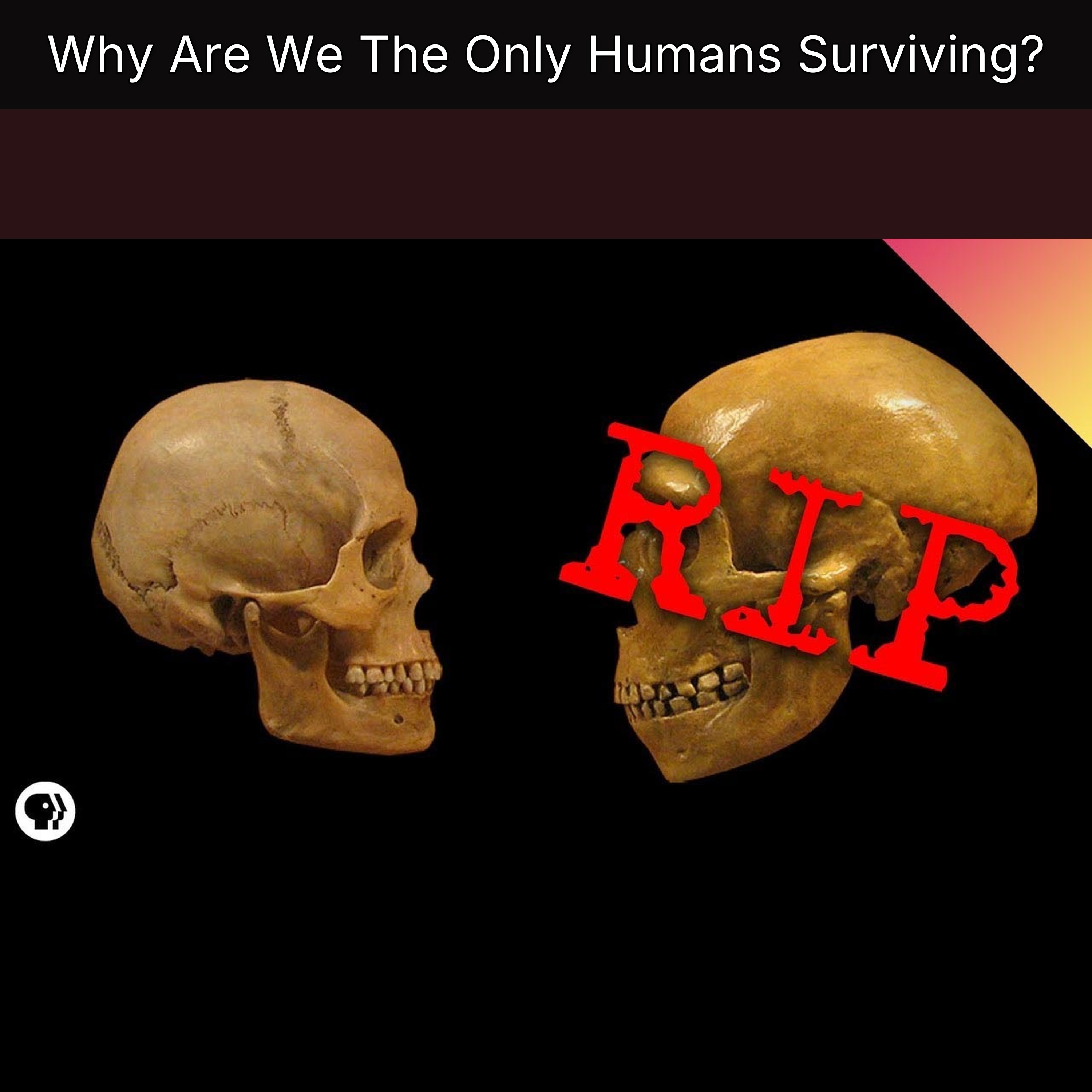 Why Are We The Only Humans Surviving? episode artwork