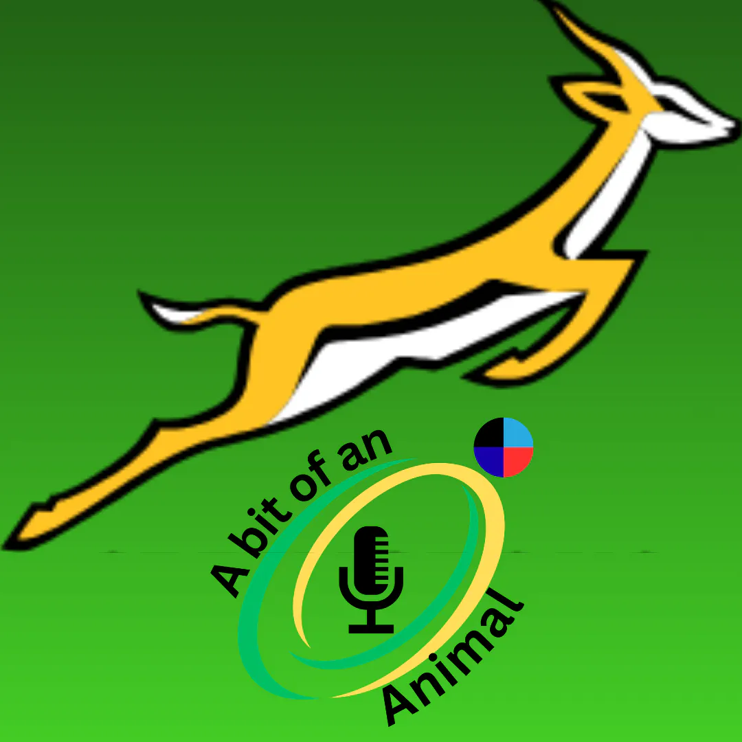 Springboks Are Back! | A Bit of An Animal episode artwork