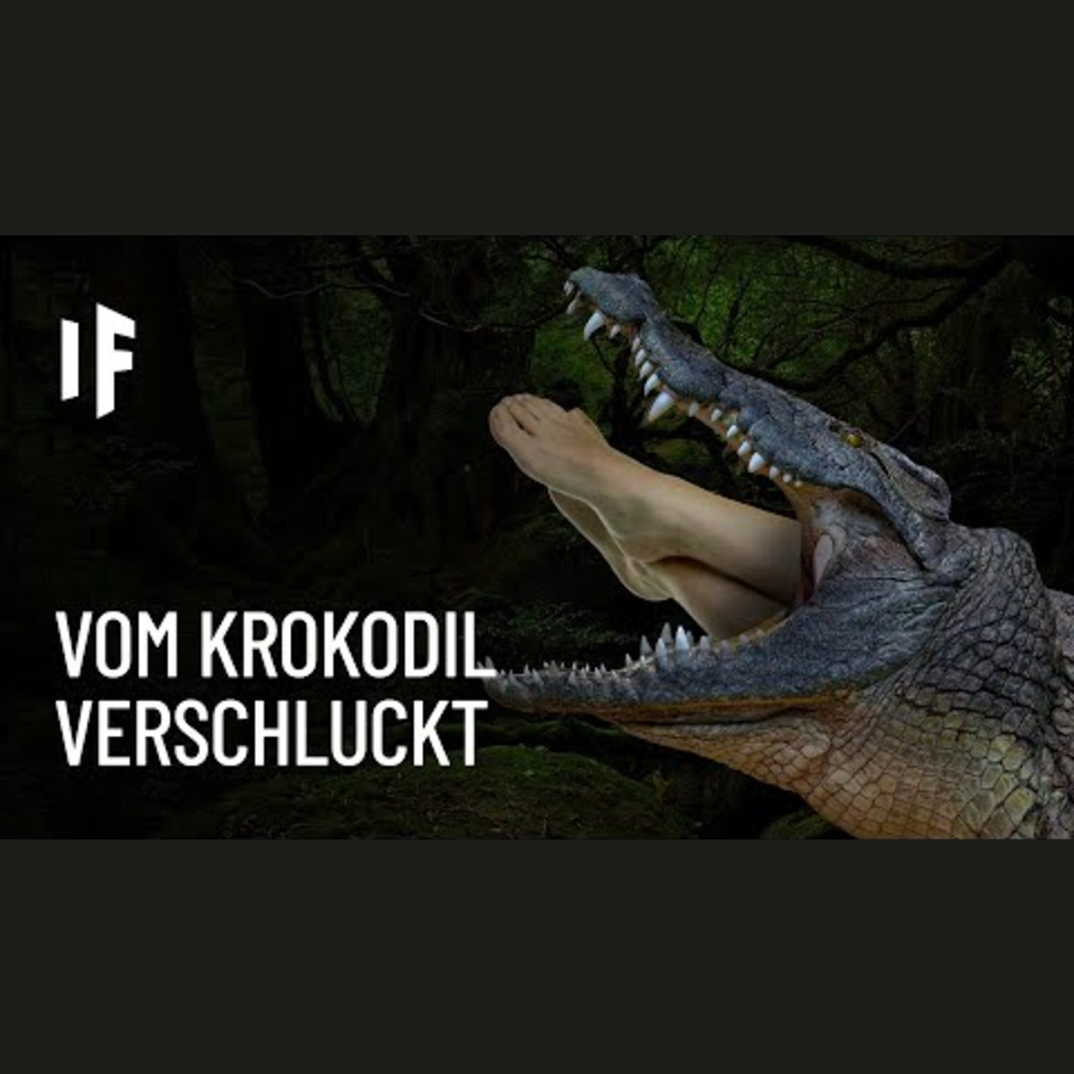 Was wäre, wenn euch ein Krokodil verschlingt? episode artwork