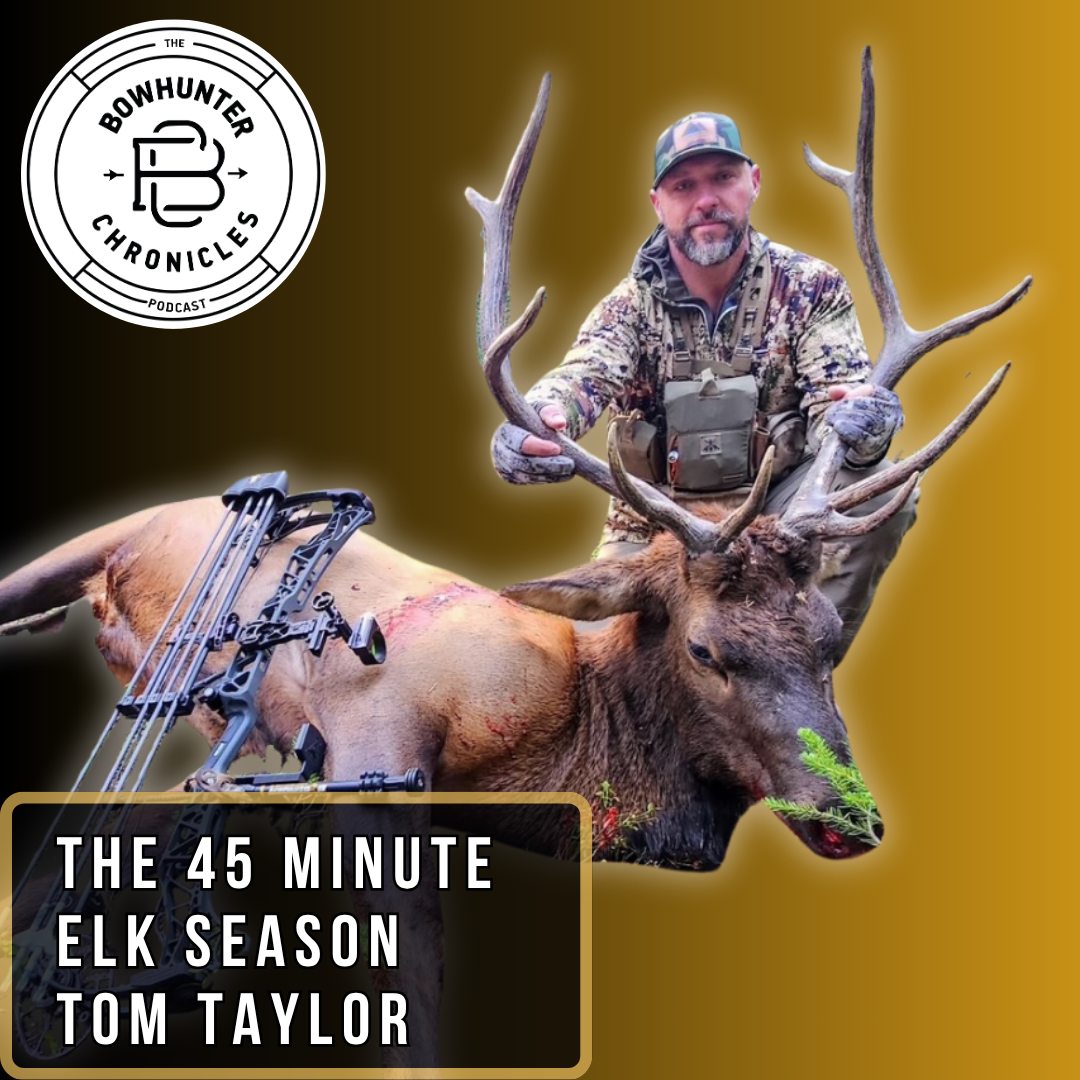 The 45 Minute Montana Bull Elk:  Tom Taylor