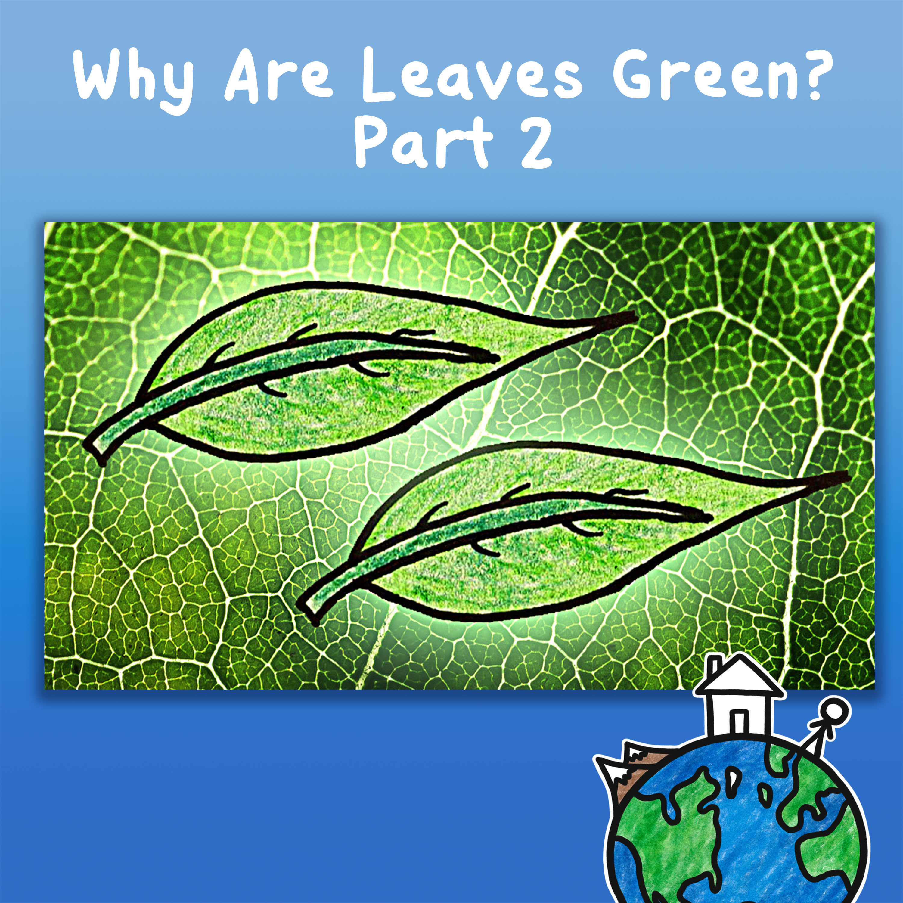 Why Are Leaves Green? Part 2