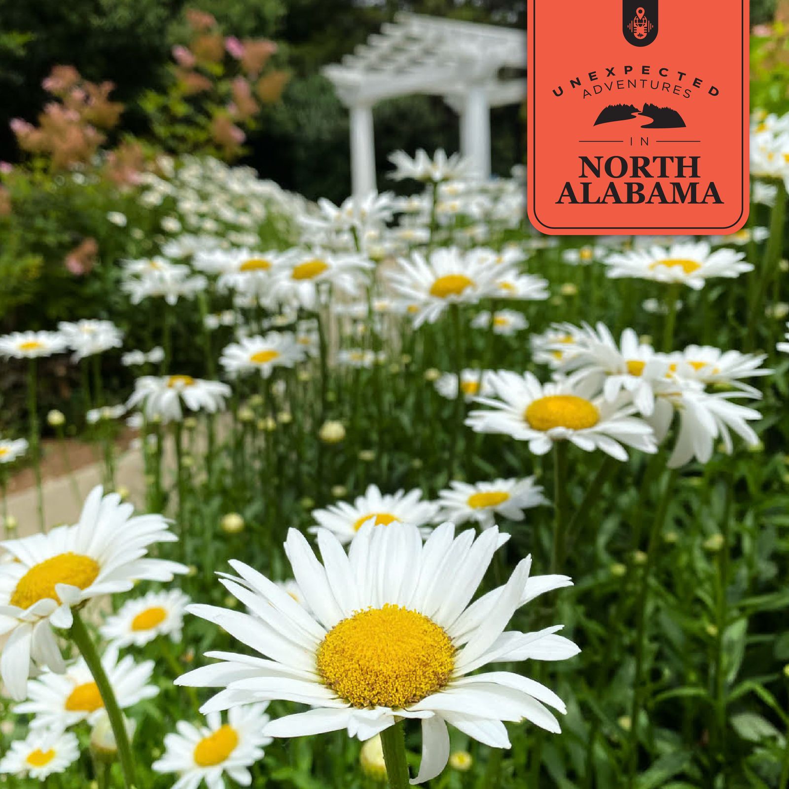 39: Connect with Nature at the Huntsville Botanical Garden episode artwork