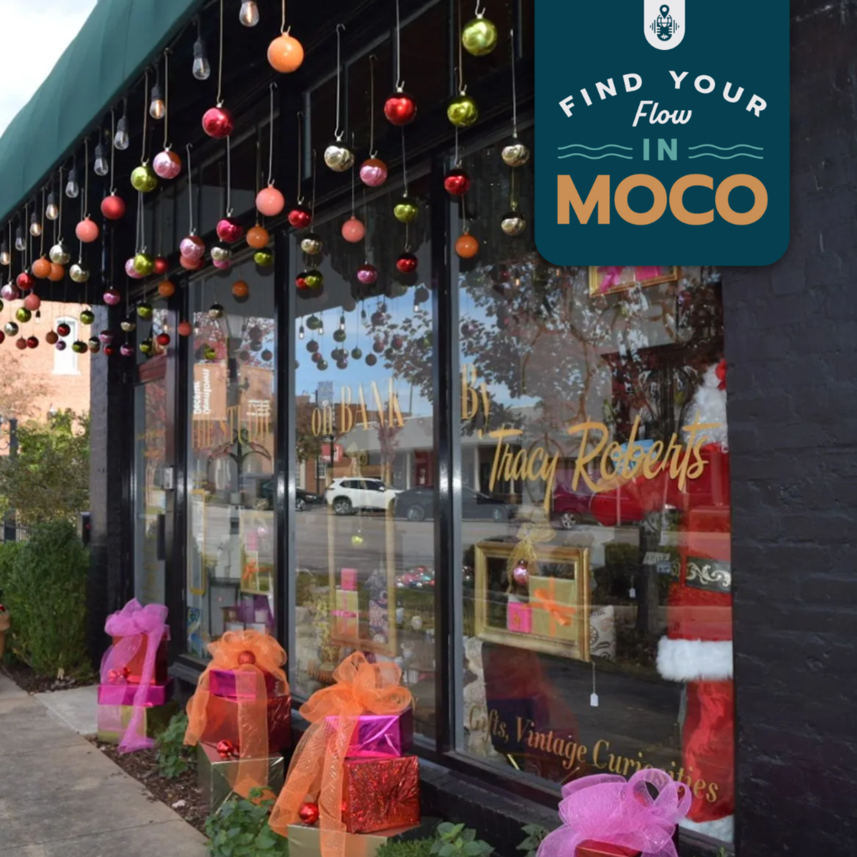 Find Your Flow in MoCo