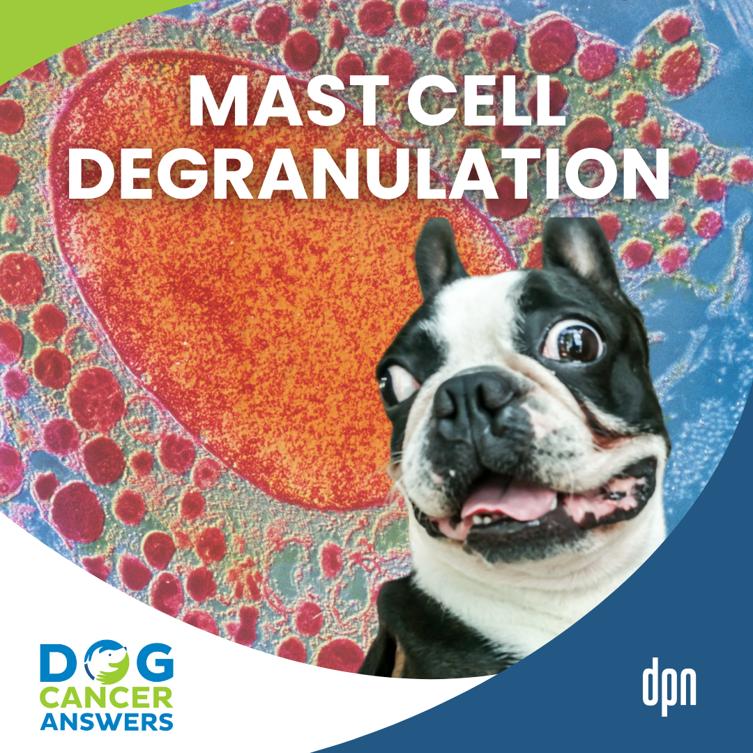 Mast Cell Degranulation: Life-Saving Insights for Dog Lovers Facing Mast Cell Tumors | Dr. Brooke Britton #295