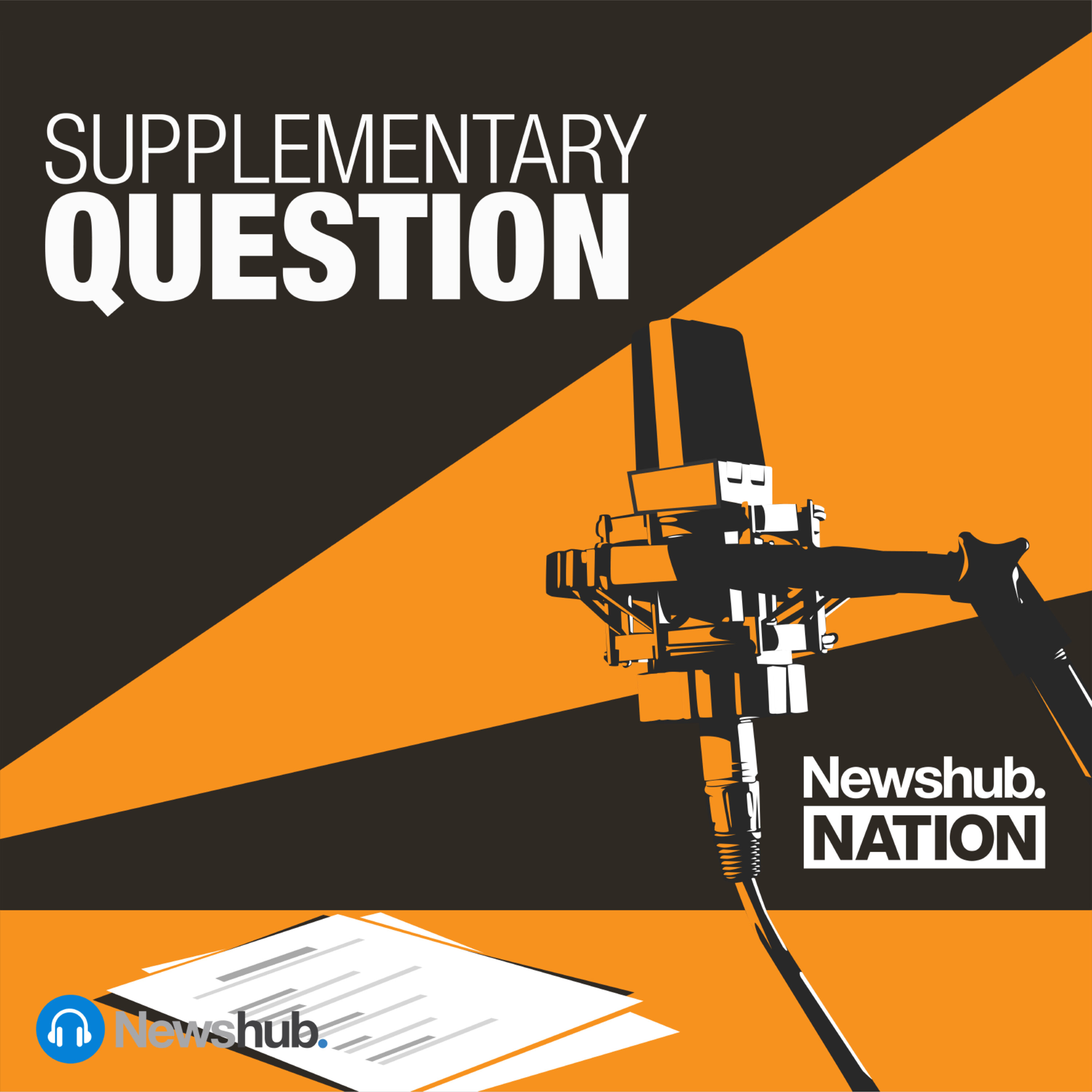 What has the Christchurch Call achieved? episode artwork