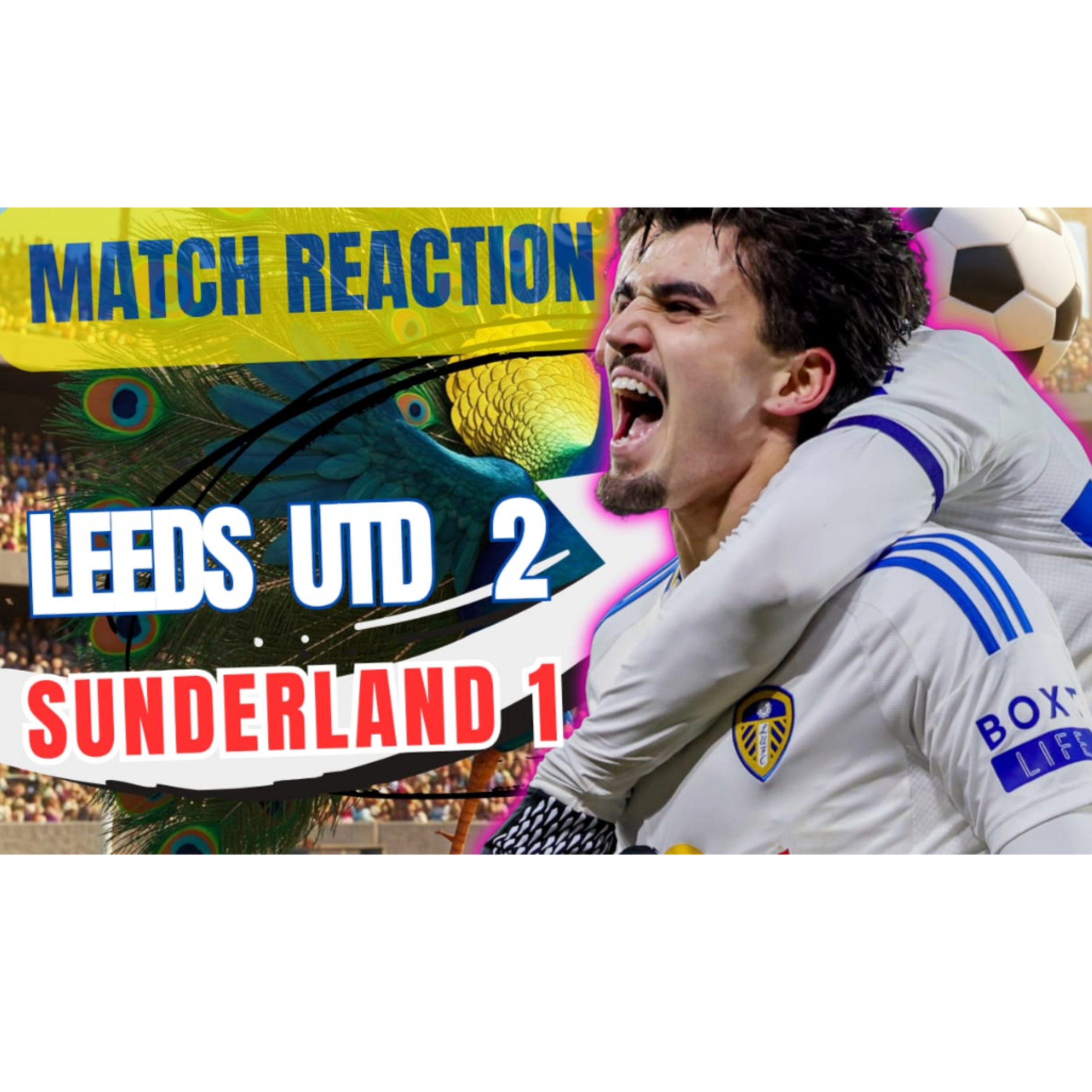 ALTV PODCAST: Leeds 2 Sunderland 1
