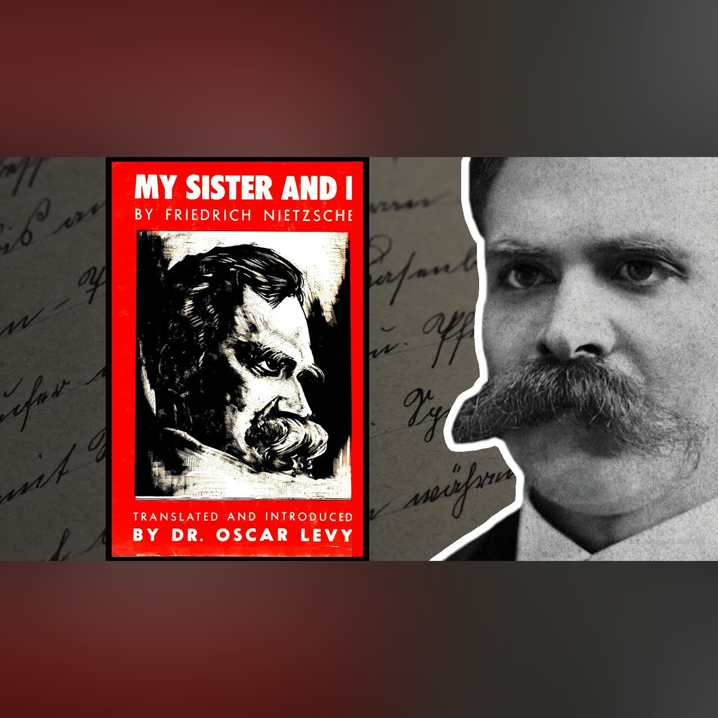 Nietzsche's Final Book - Or Is it?