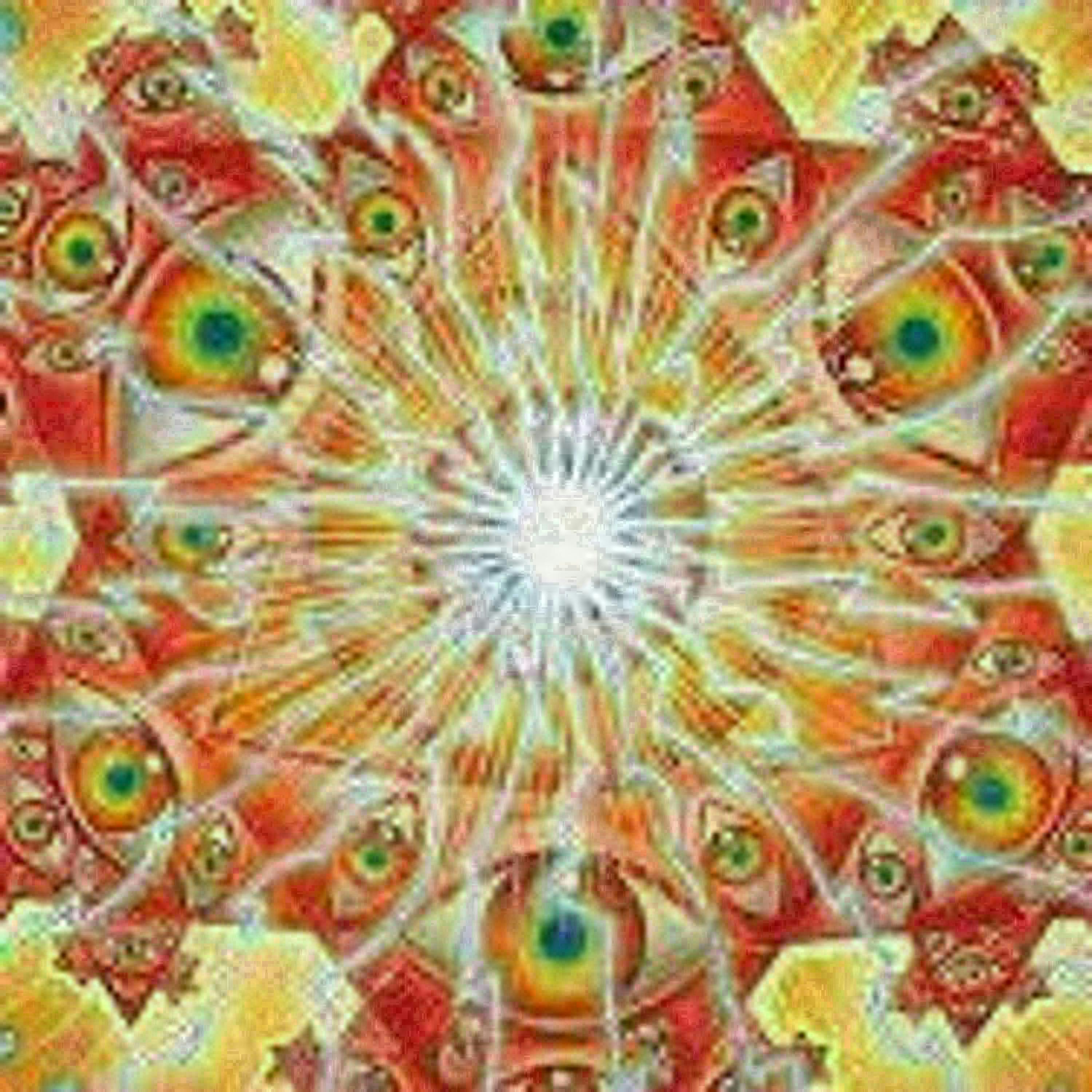 138 - Jed talks DMT and Psychedelics with Josh and Jeff from The Harbor podcast