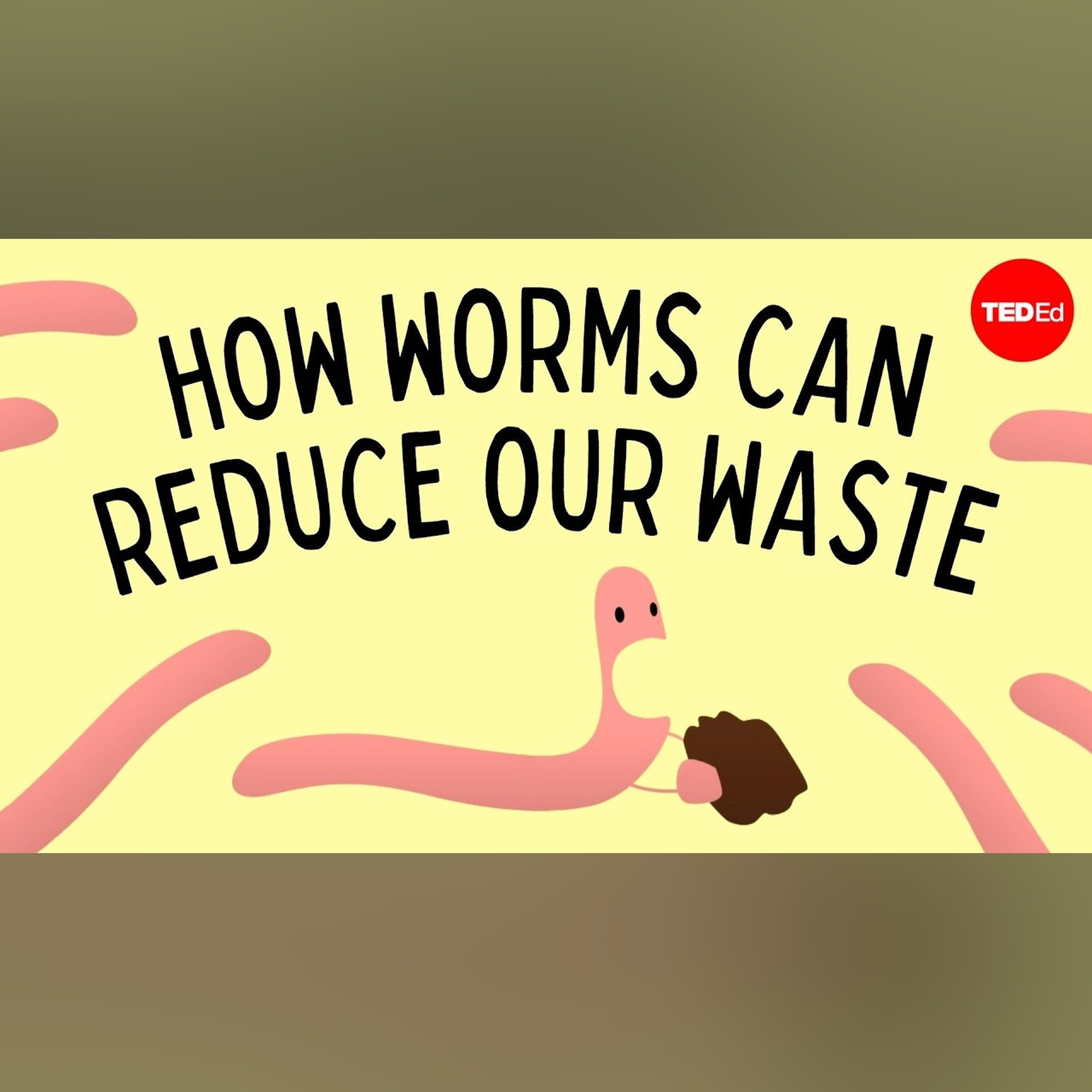 Vermicomposting: How worms can reduce our waste - Matthew Ross episode artwork