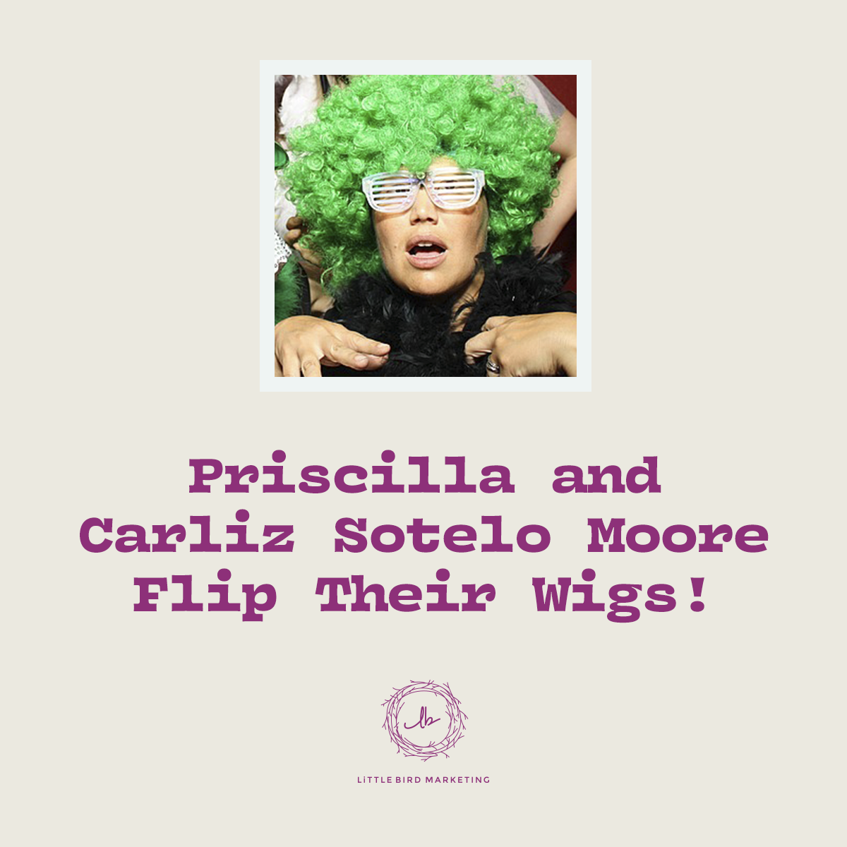 Priscilla and Carliz Sotelo Moore Flip Their Wigs episode artwork