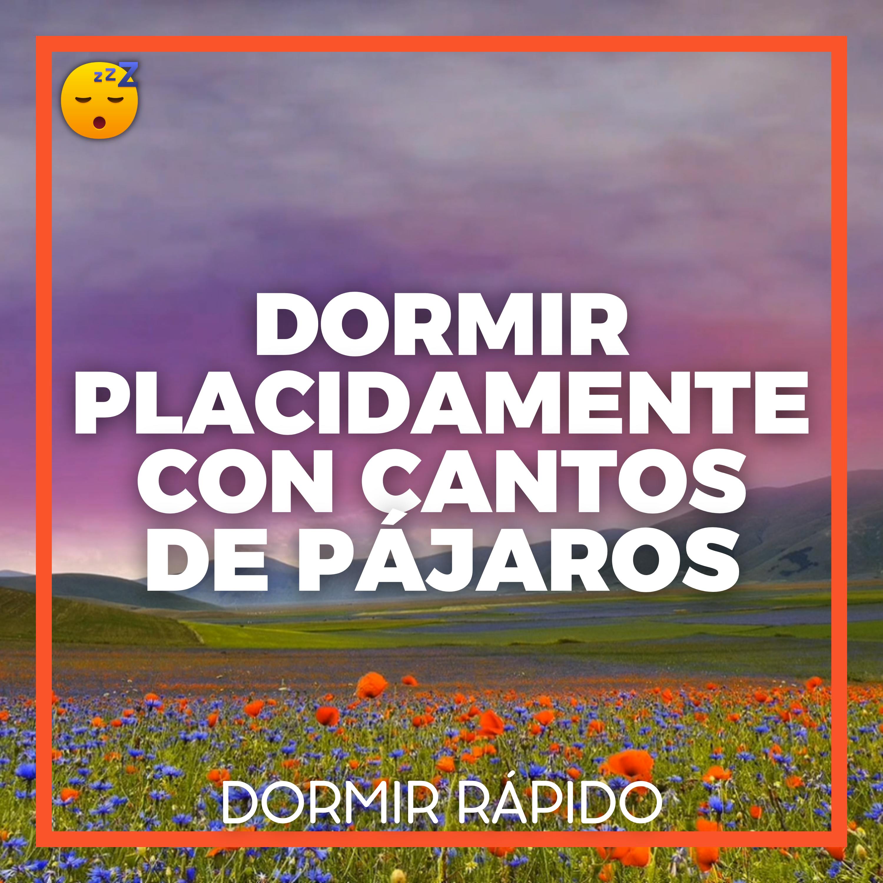 DORMIR Placidamente con CANTOS DE PÁJAROS y MÚSICA Relajante episode artwork