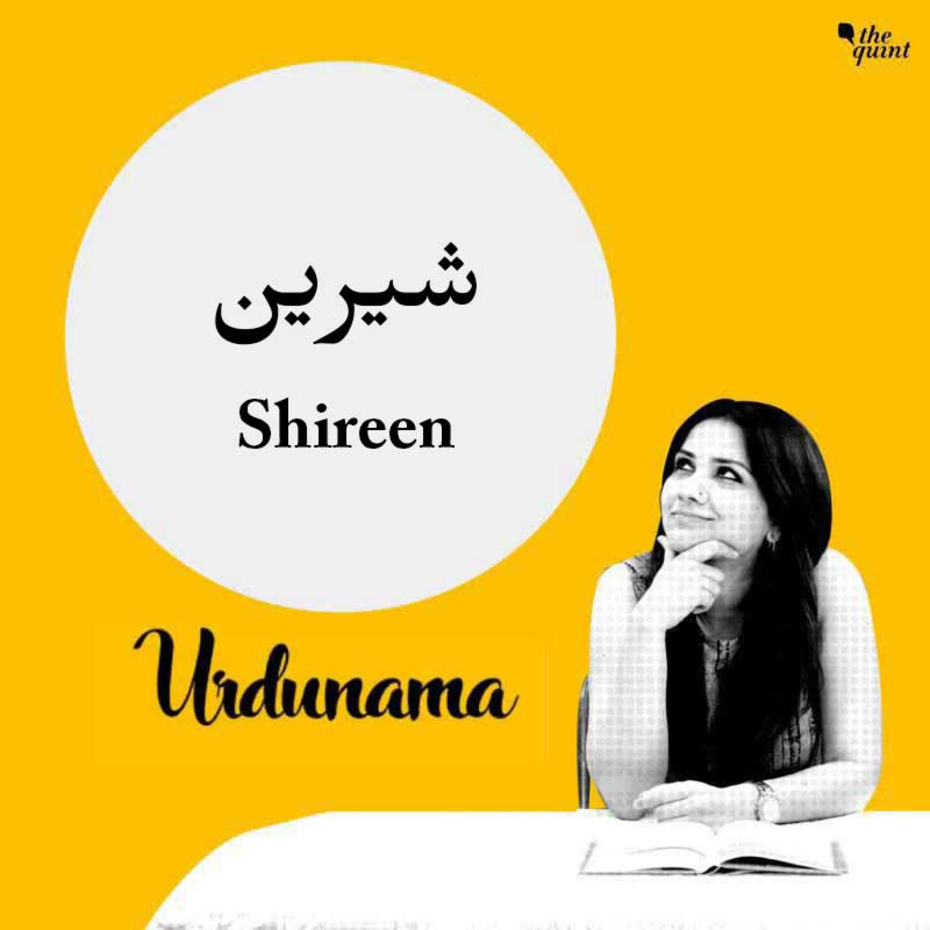Don't Let the Bitterness of Reality Take Away Life's 'Shireen-ness' episode artwork