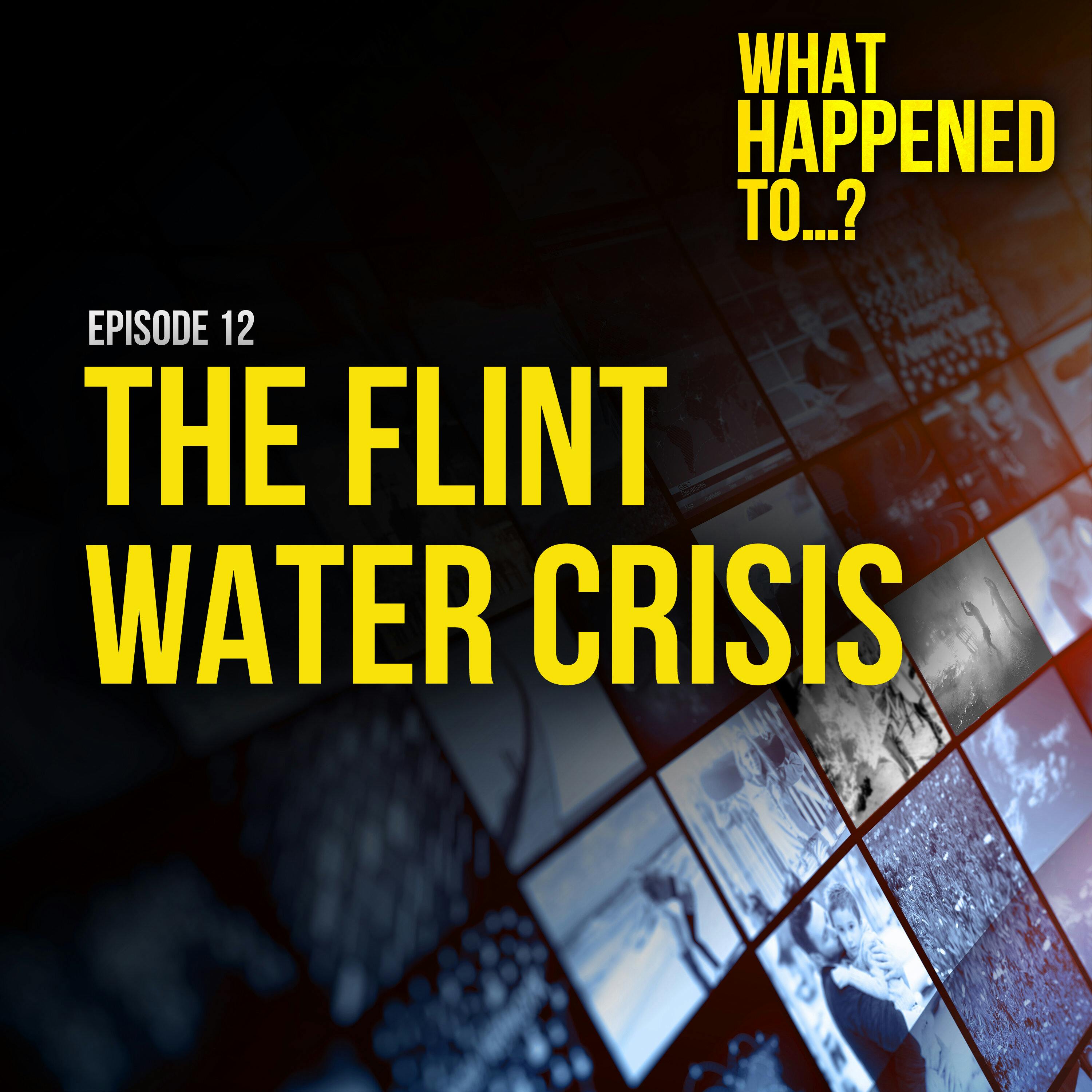 The Flint Water Crisis  | 12
