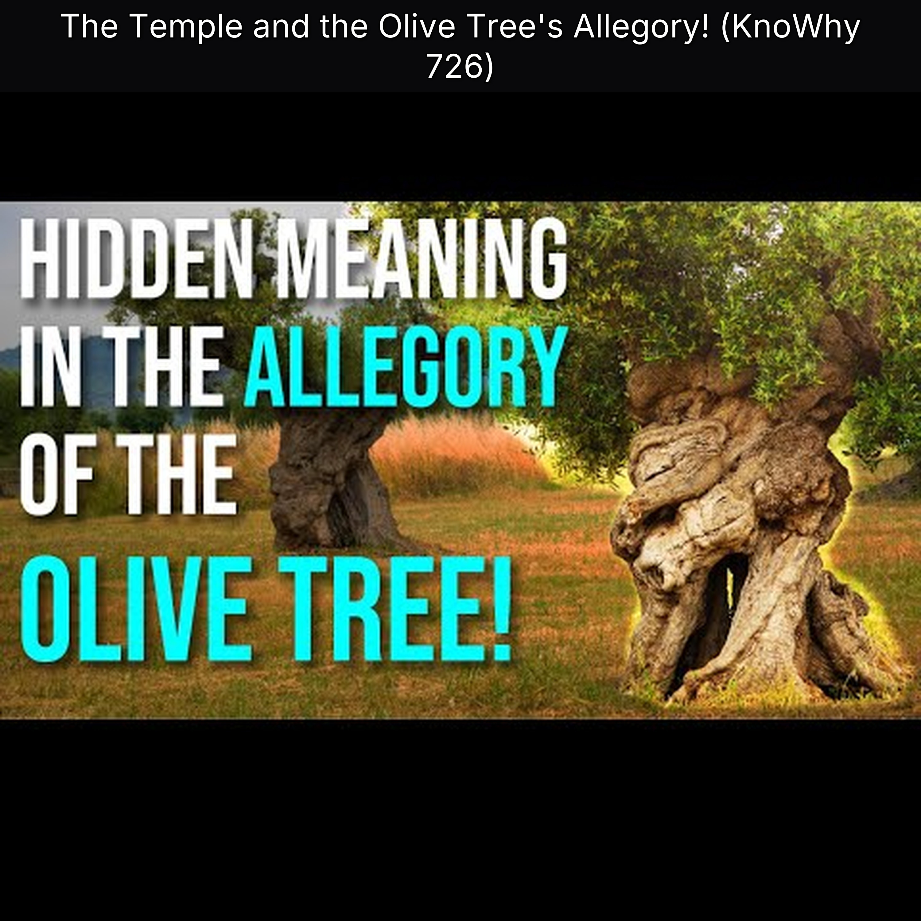 The Temple and the Olive Tree's Allegory! (KnoWhy 726) episode artwork