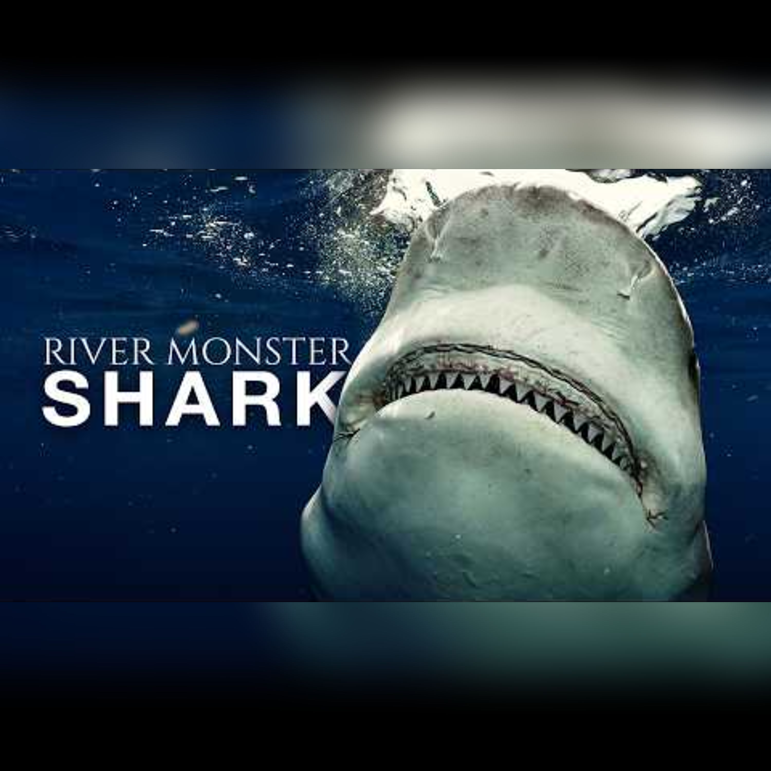 Exploring the Bull Shark: Nature's Fiercest Predator episode artwork