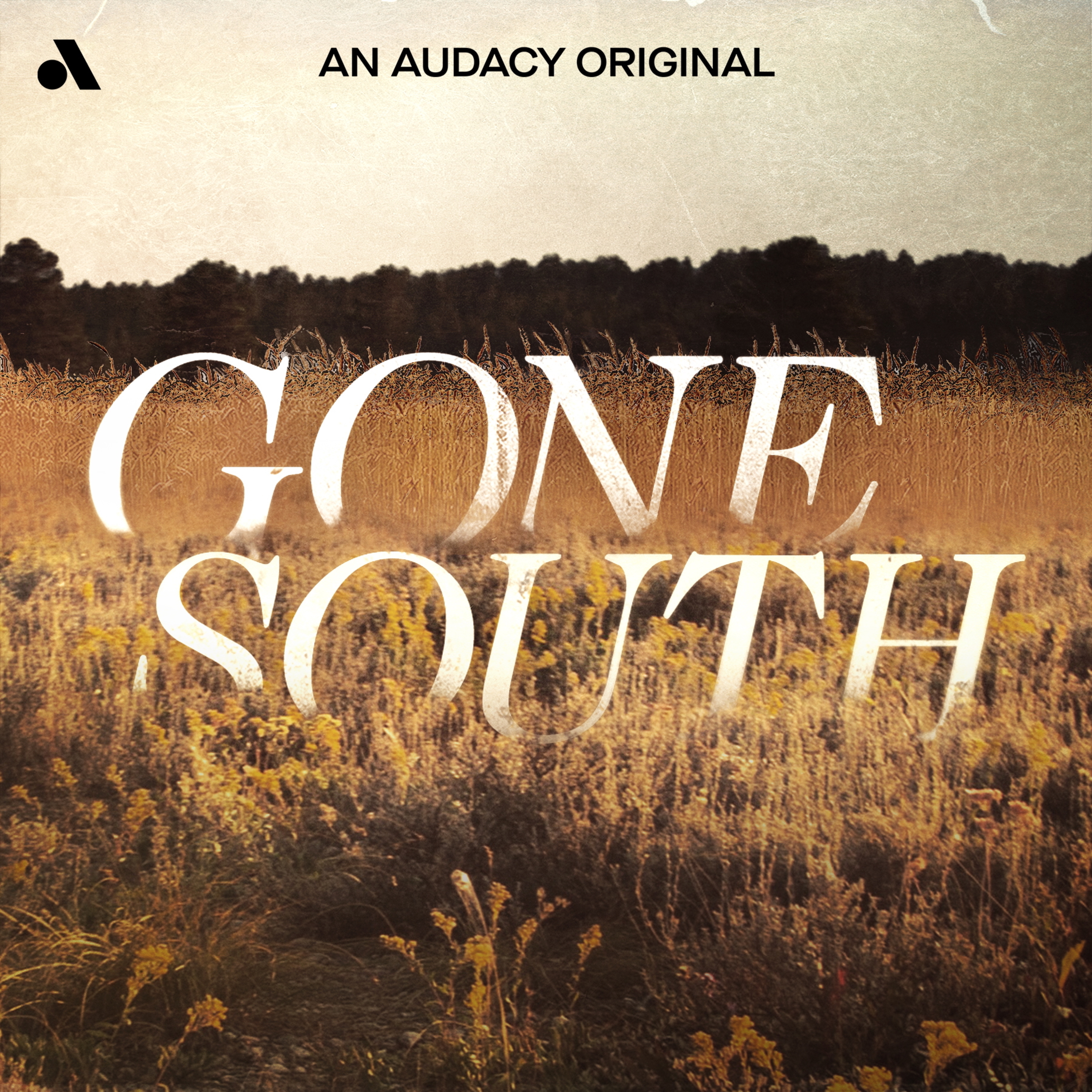 Gone South Artwork