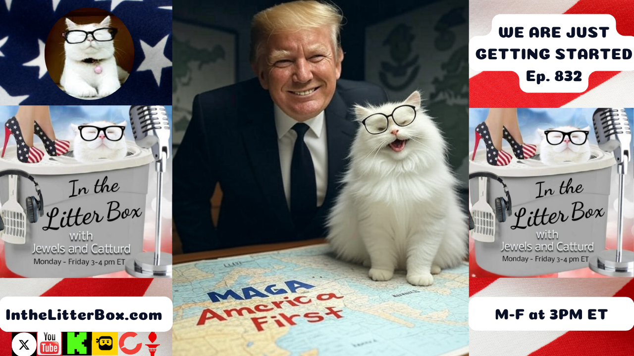 WE ARE JUST GETTING STARTED | In the Litter Box w/ Jewels & Catturd – Ep. 832 – 6/30/2025
