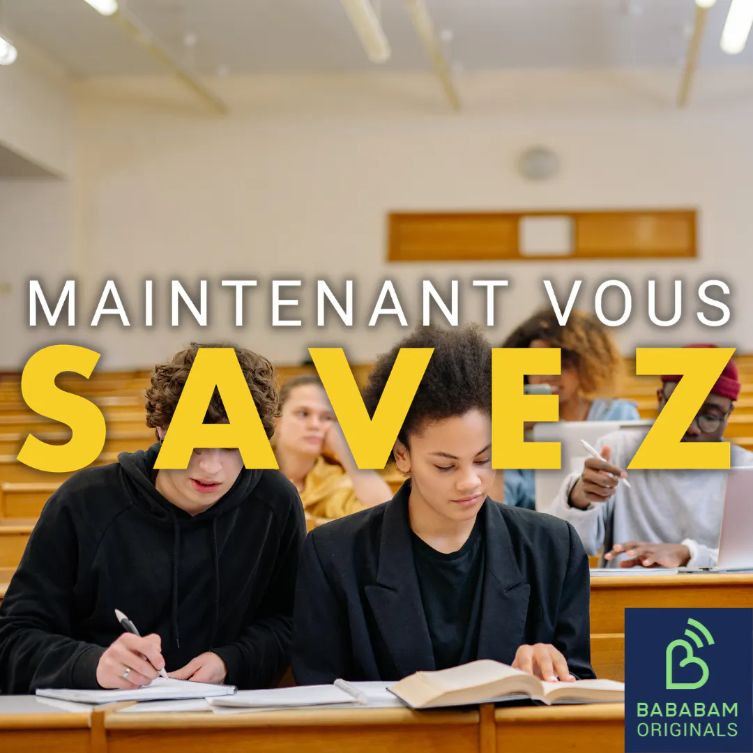 Artwork for Maintenant, vous savez