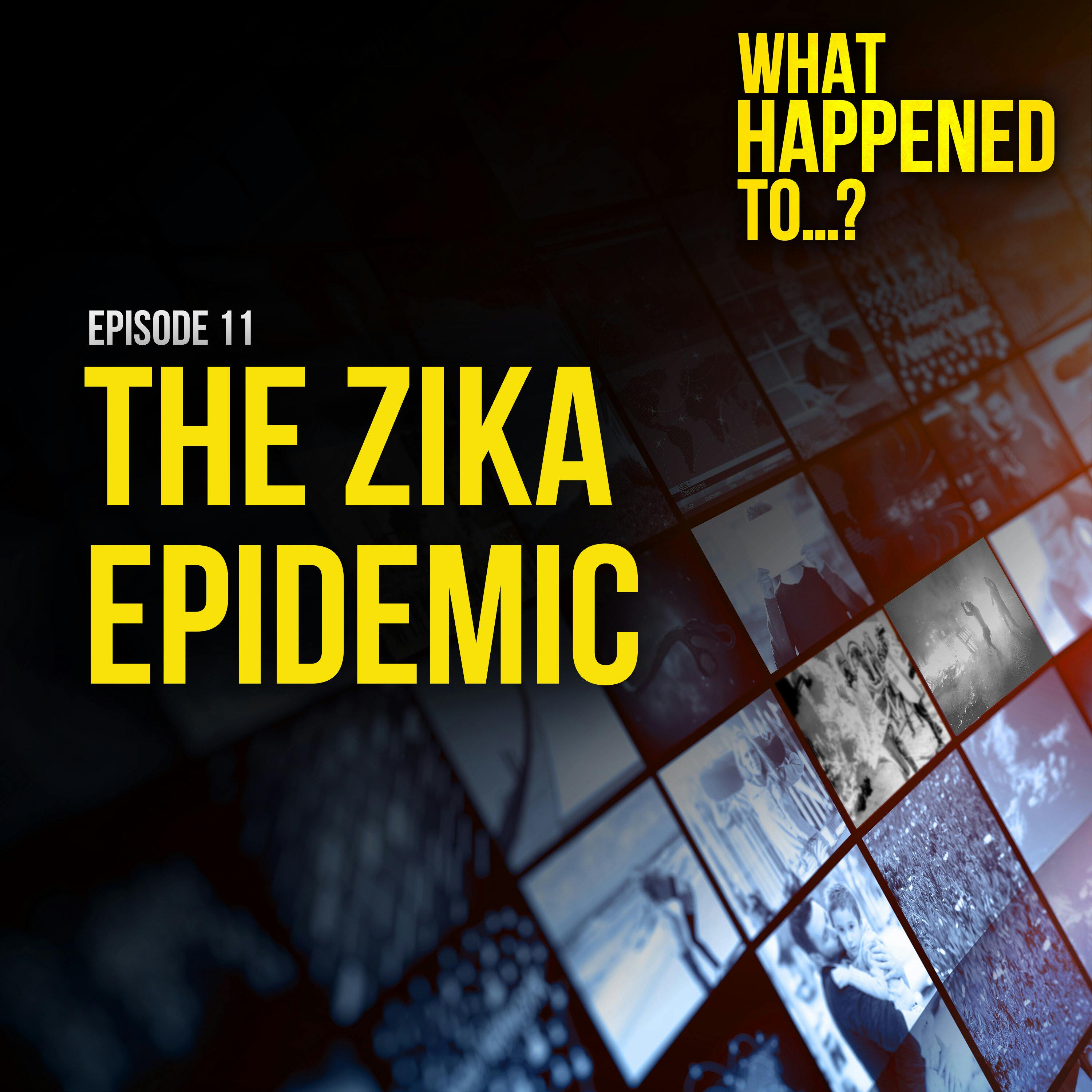 The Zika Epidemic | 11
