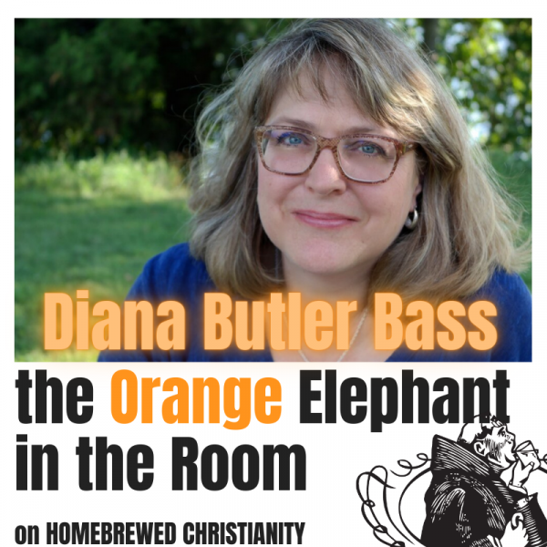 Diana Butler Bass: Religion, Politics, & the Elephant in the Room