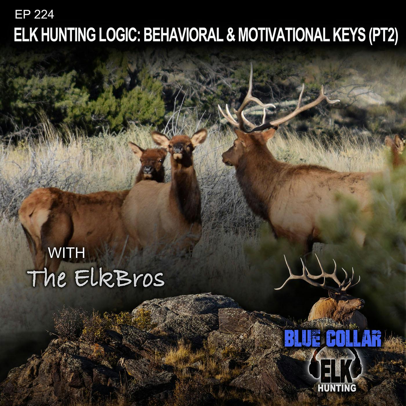 EP 224: Elk Hunting Logic: Behavioral & Motivational Keys (Part 2)