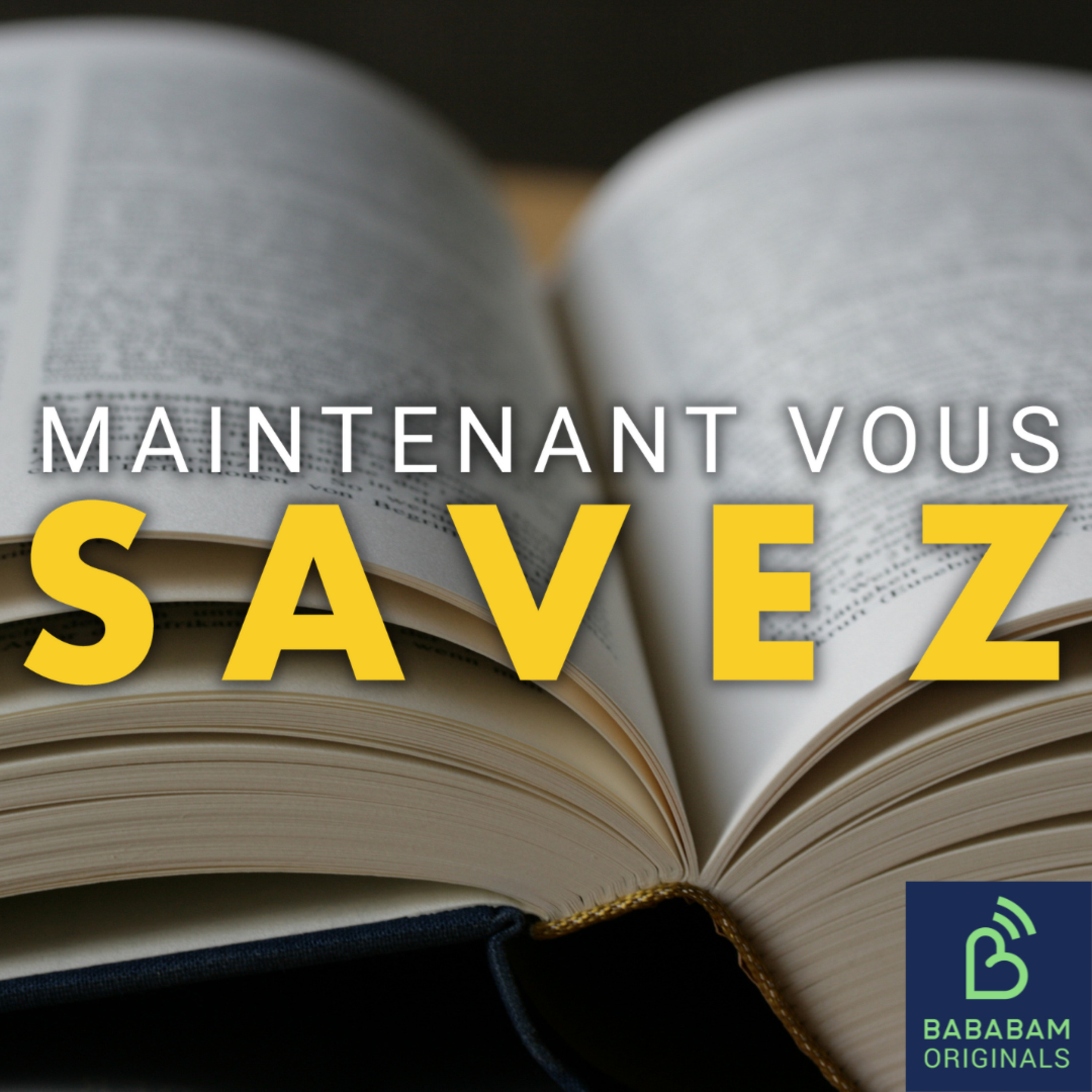 Quels sont les mots qui entreront dans la langue française en 2025 ? 