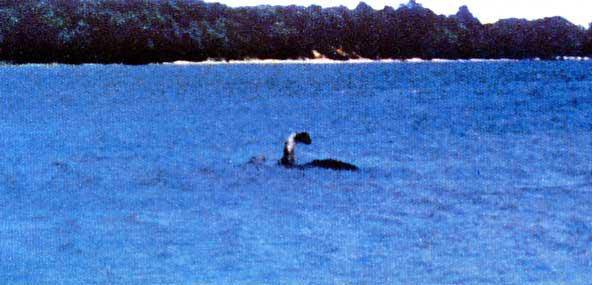 Dark Windows Podcast