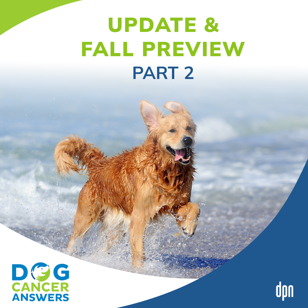 Update & Fall Preview Part 2 | Molly Jacobson #182