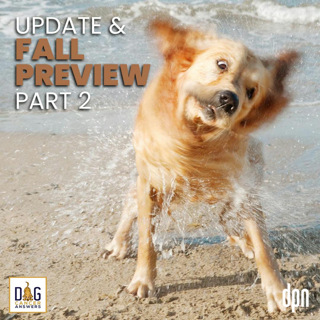 Update & Fall Preview Part 2 | Molly Jacobson #182