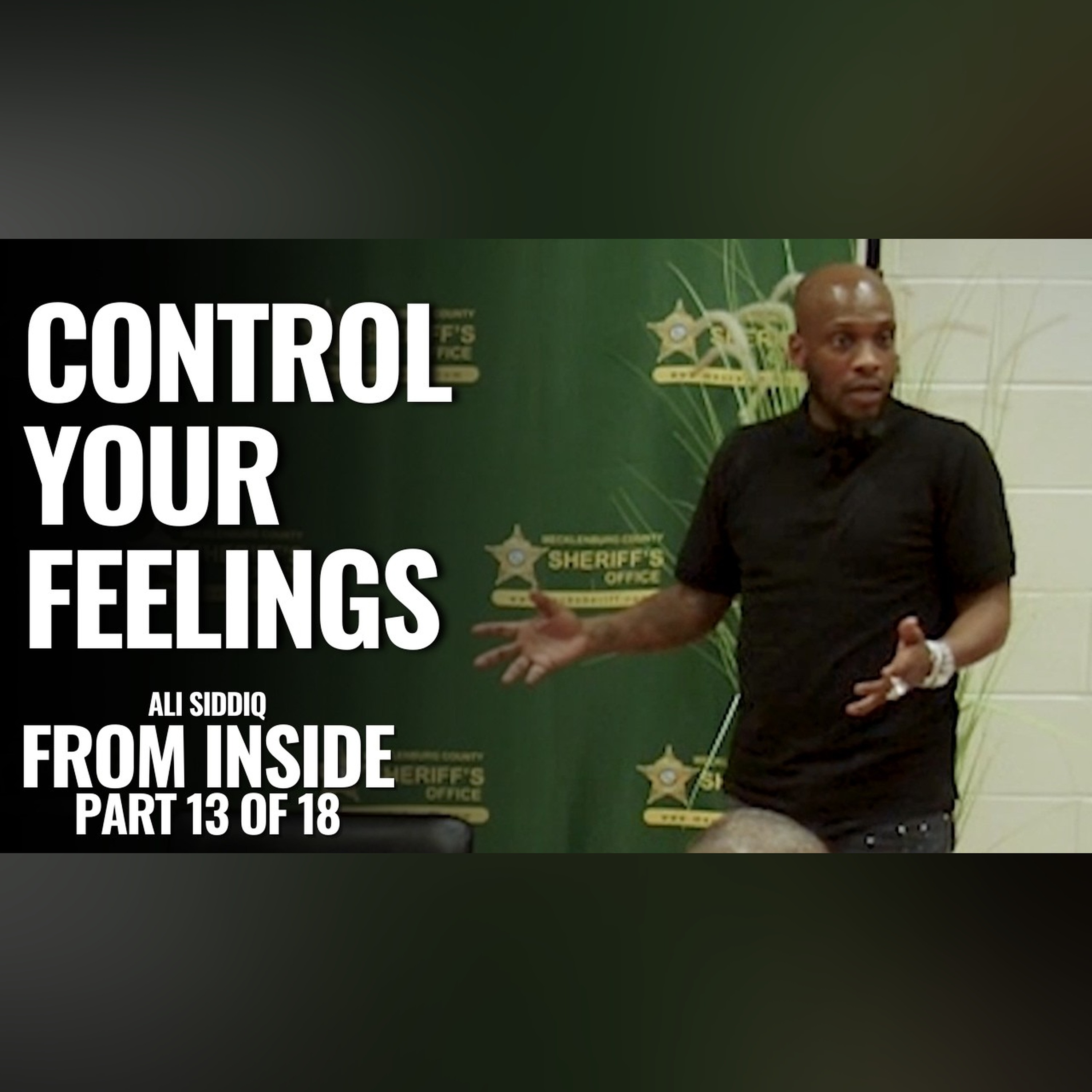 Control Your Feelings | From Inside: Part 13 of 18 | Ali Siddiq episode artwork