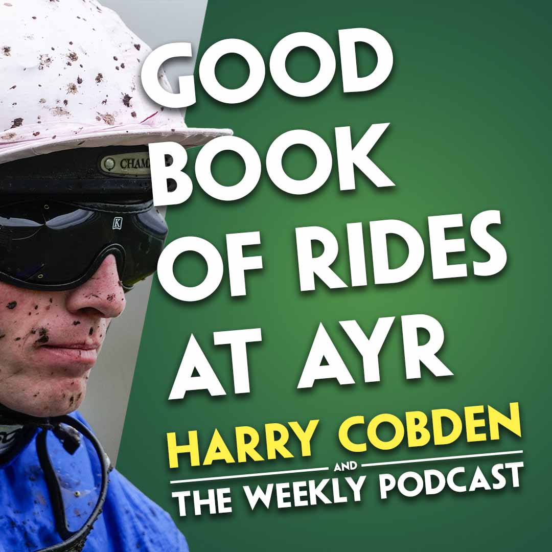 "He's VERY well at home" | Harry Cobden | Rail incident | Could Harry Cobden ride I Am Maximus?