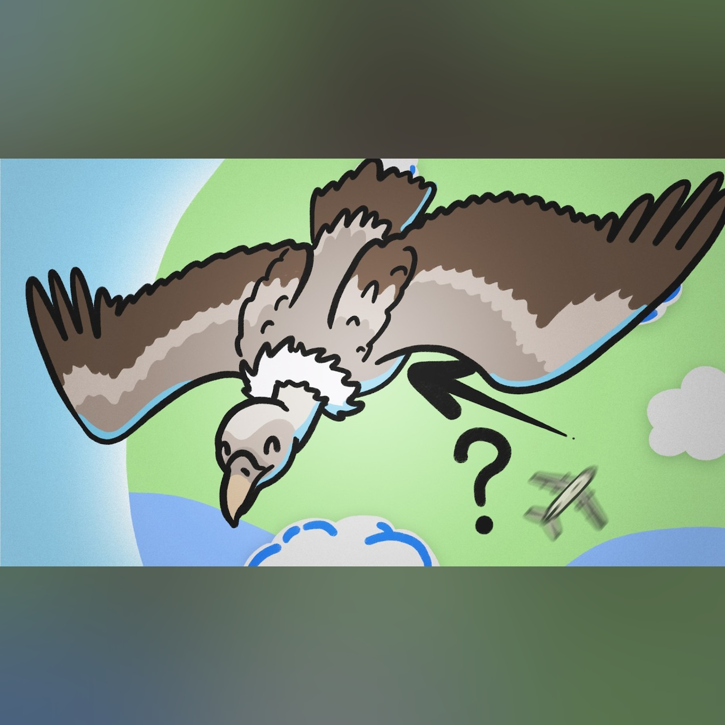 How High Can Birds Fly?