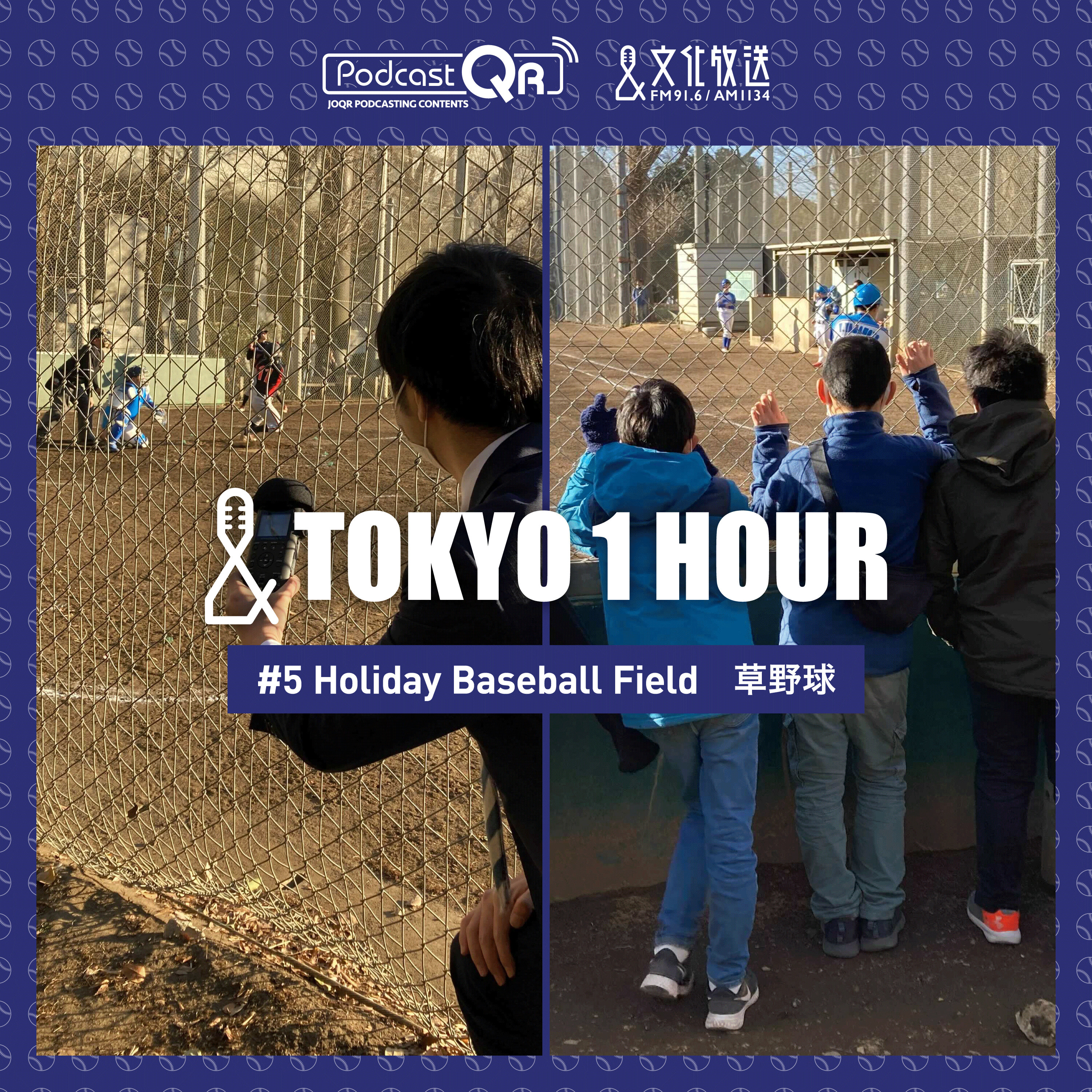 #5 HOLIDAY BASEBALL FIELD episode artwork