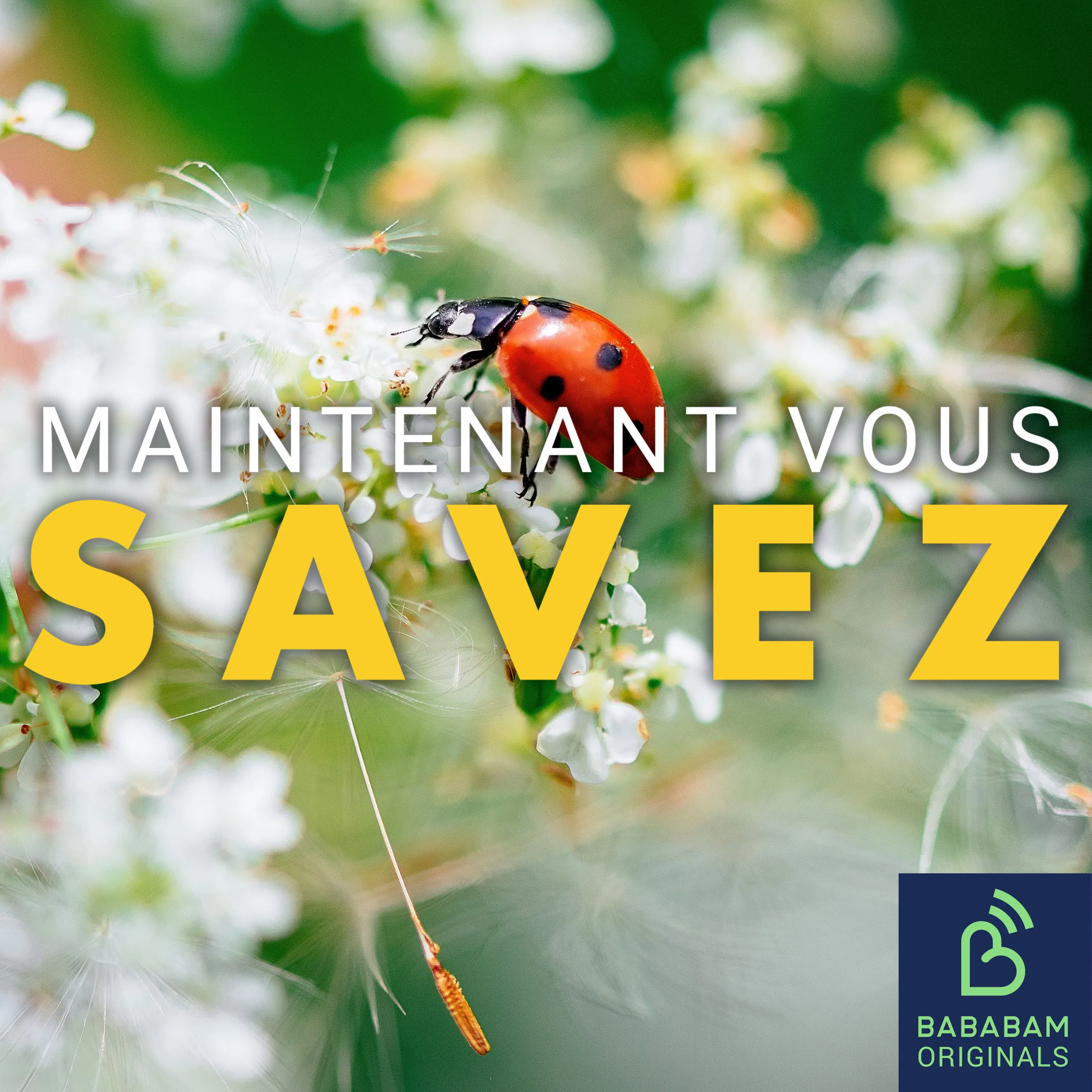 Où sont les insectes en hiver ?