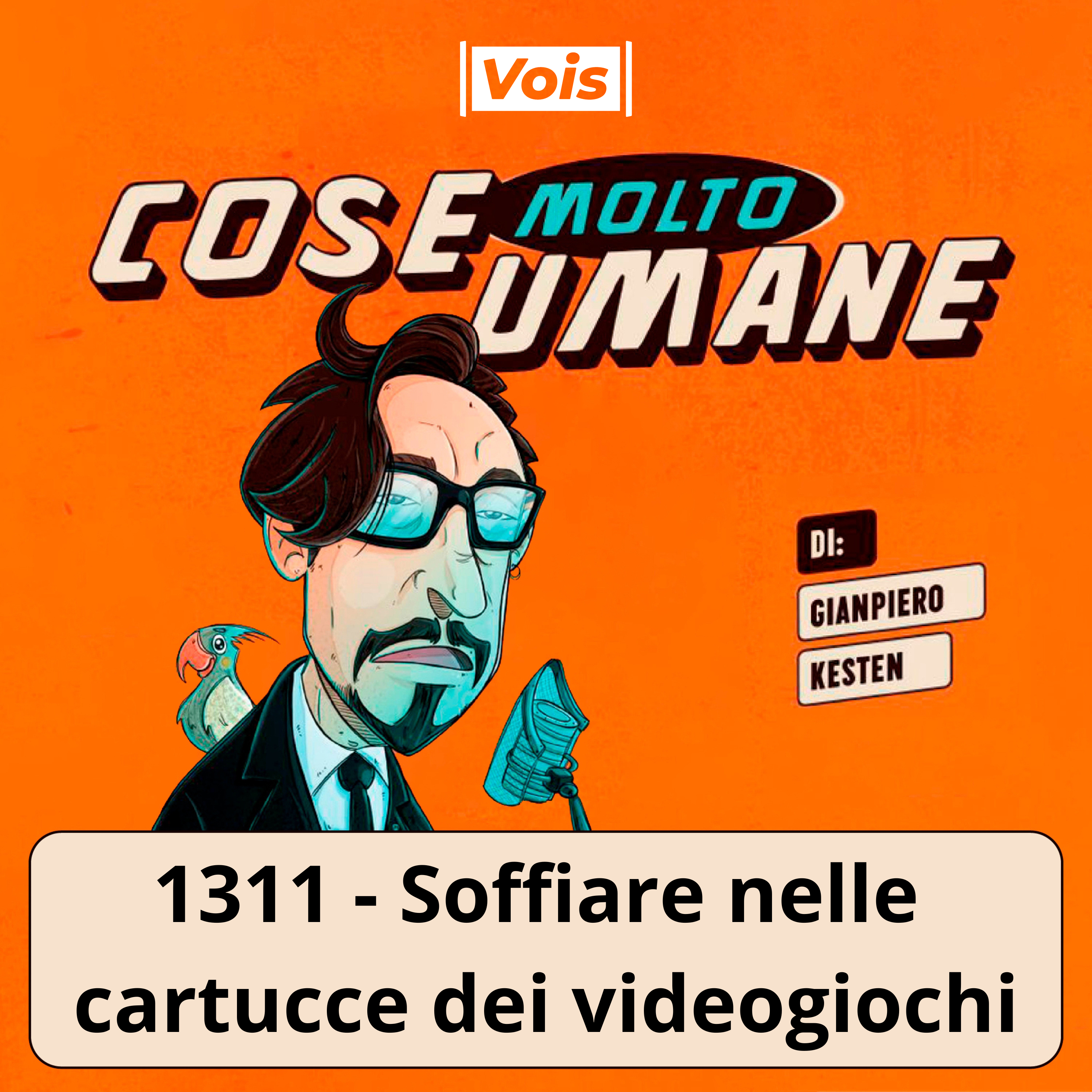1311 - Soffiare nelle cartucce dei videogiochi