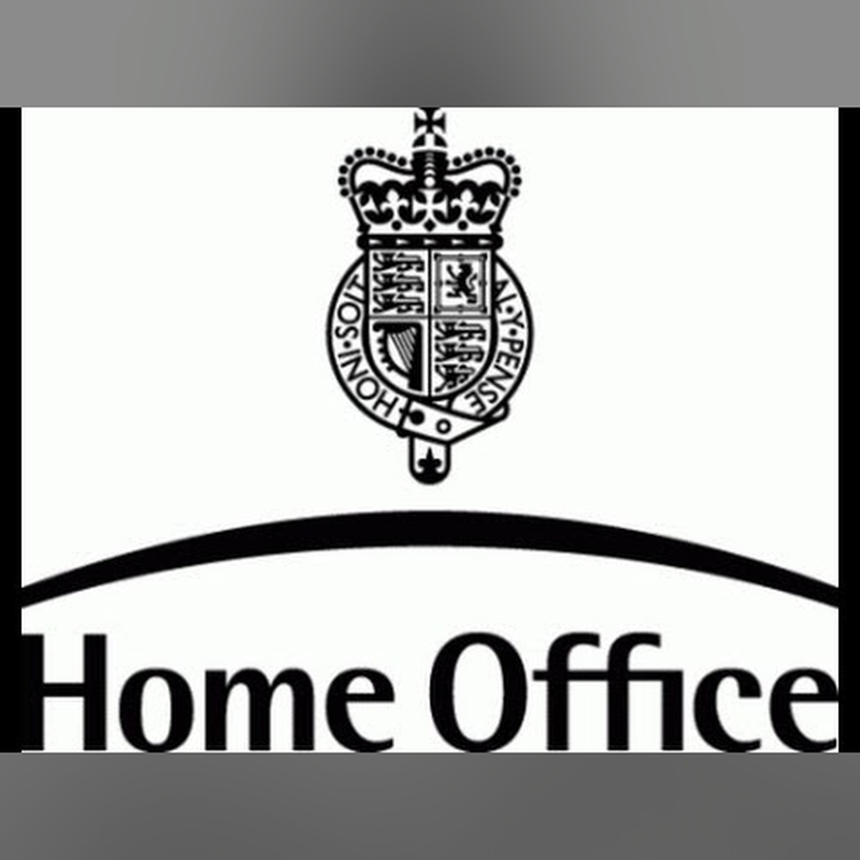 Home Office Mathematics - Professor Bernard Silverman