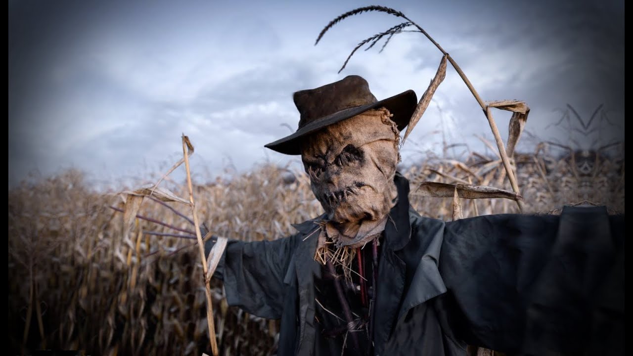 3 True Disturbing Fall Horror Stories episode artwork