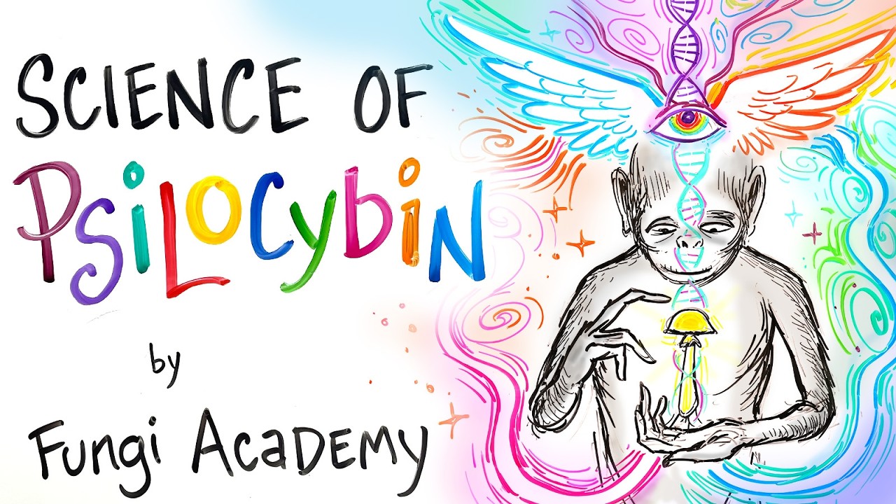 Science of Psilocybin - How it Works & Why it Exists | After Skool