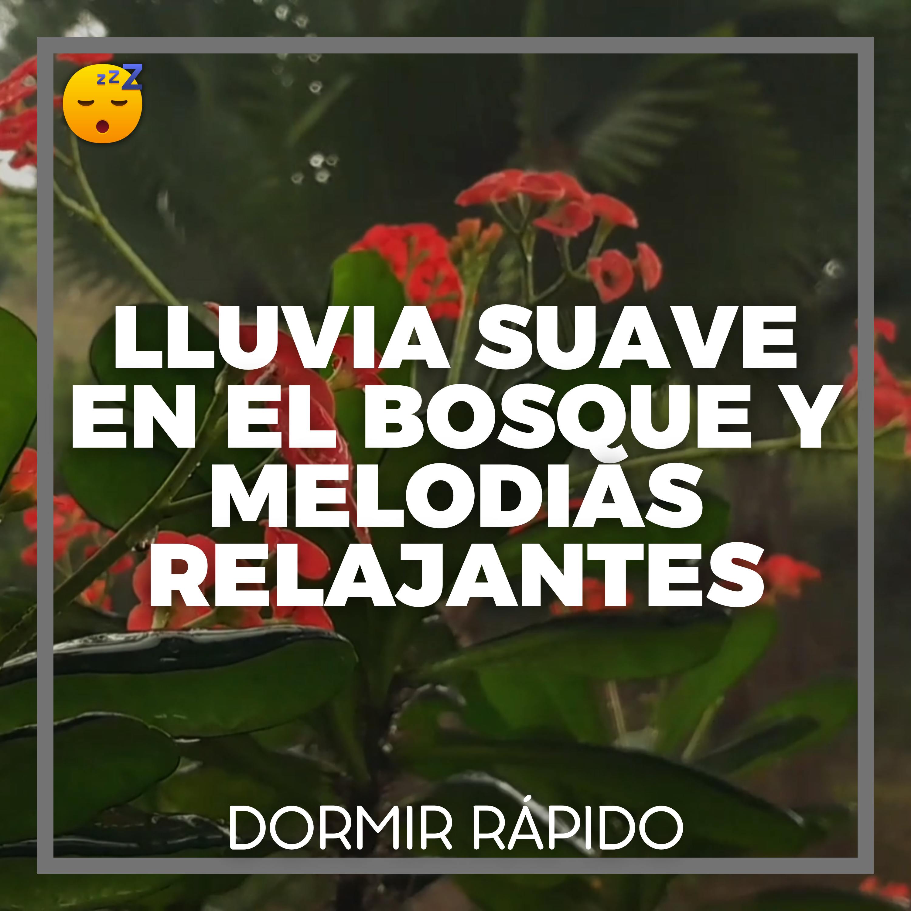 ️ Lluvia SUAVE en el Bosque y MELODIAS Relajantes para un SUEÑO Reparador episode artwork