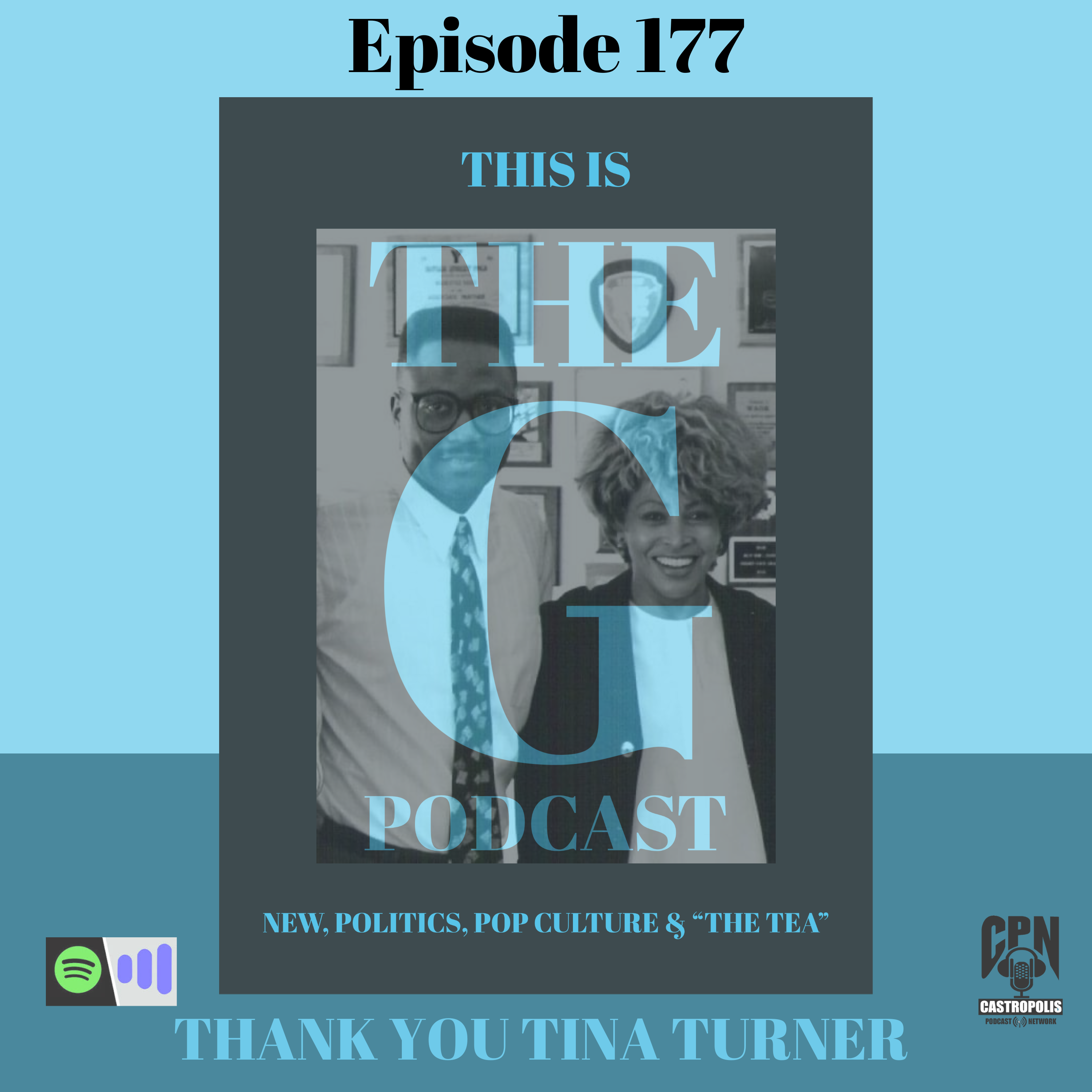 Episode 177 Thank You Tina Turner episode artwork