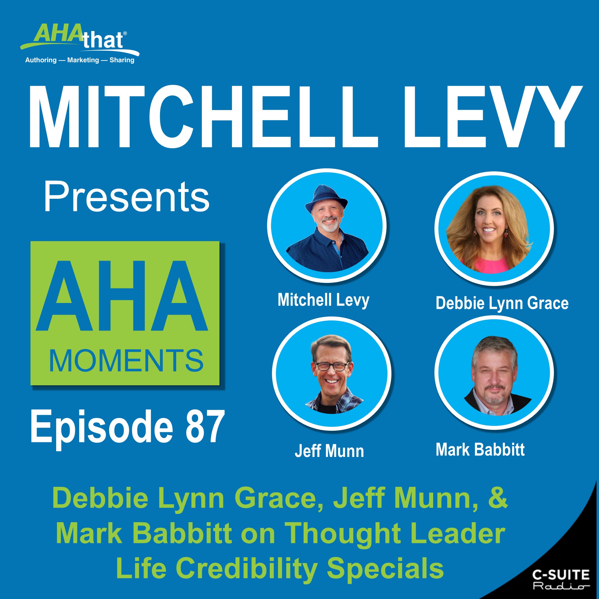 Mitchell Levy Presents AHA Moments