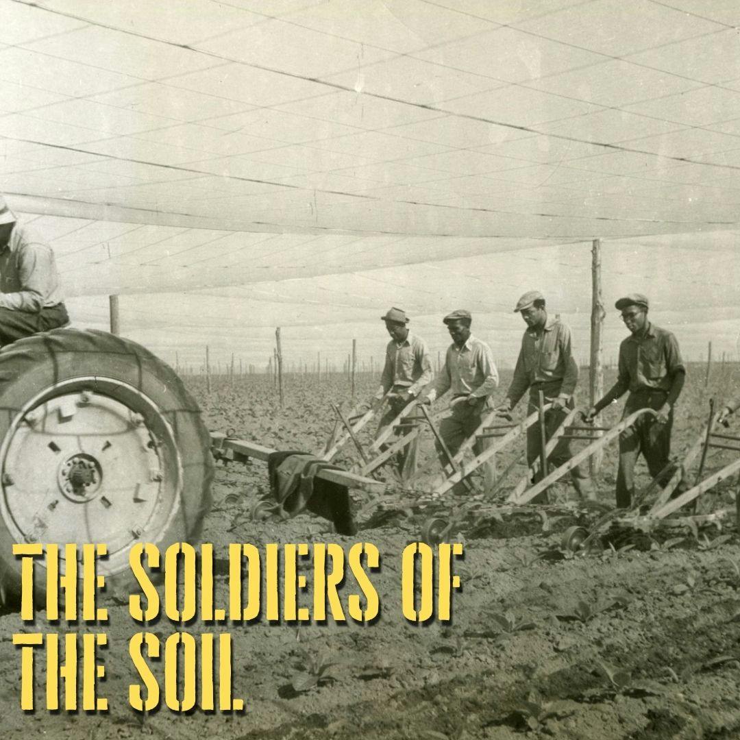 The Soldiers of the Soil