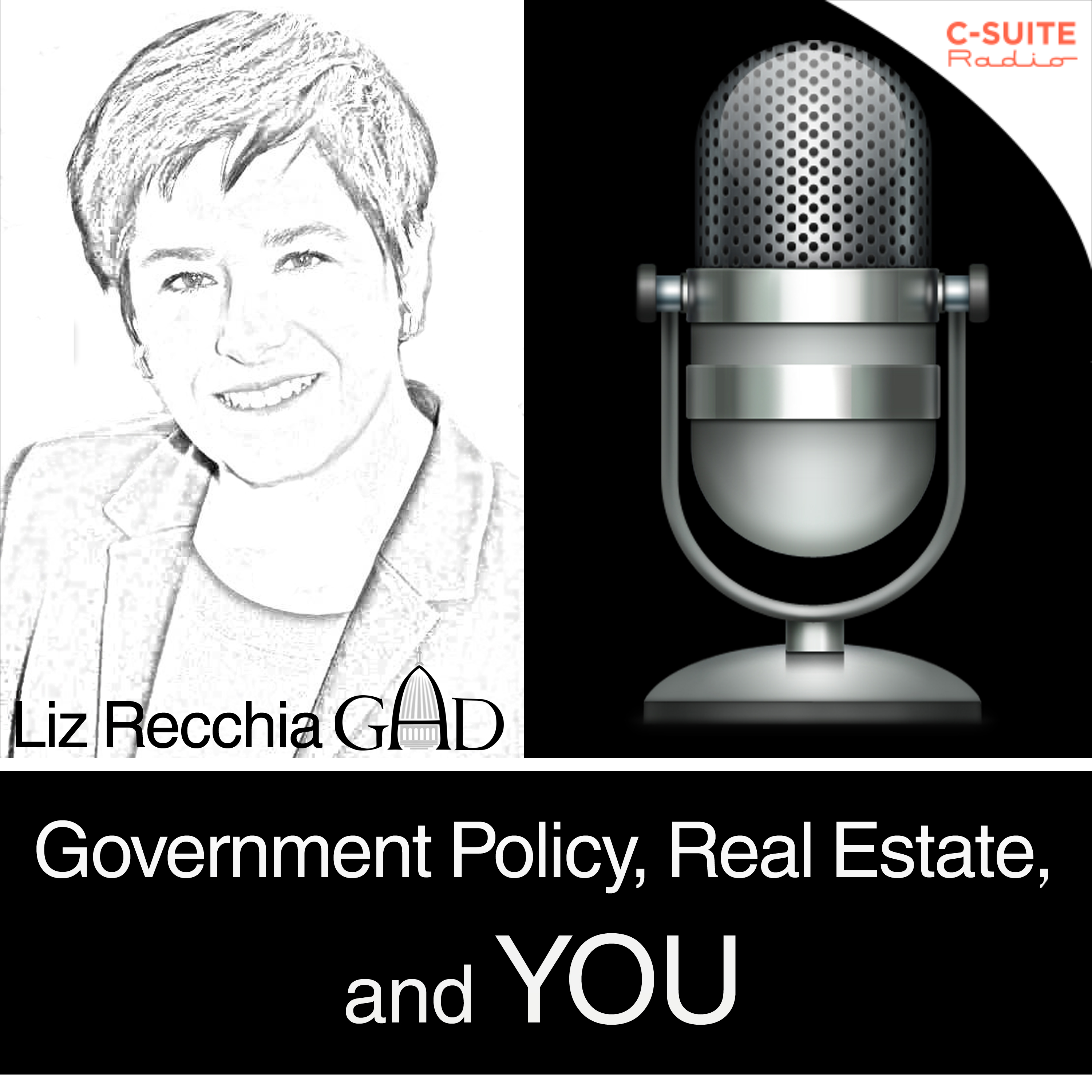 Government Policy, Real Estate and You! with Liz Recchia