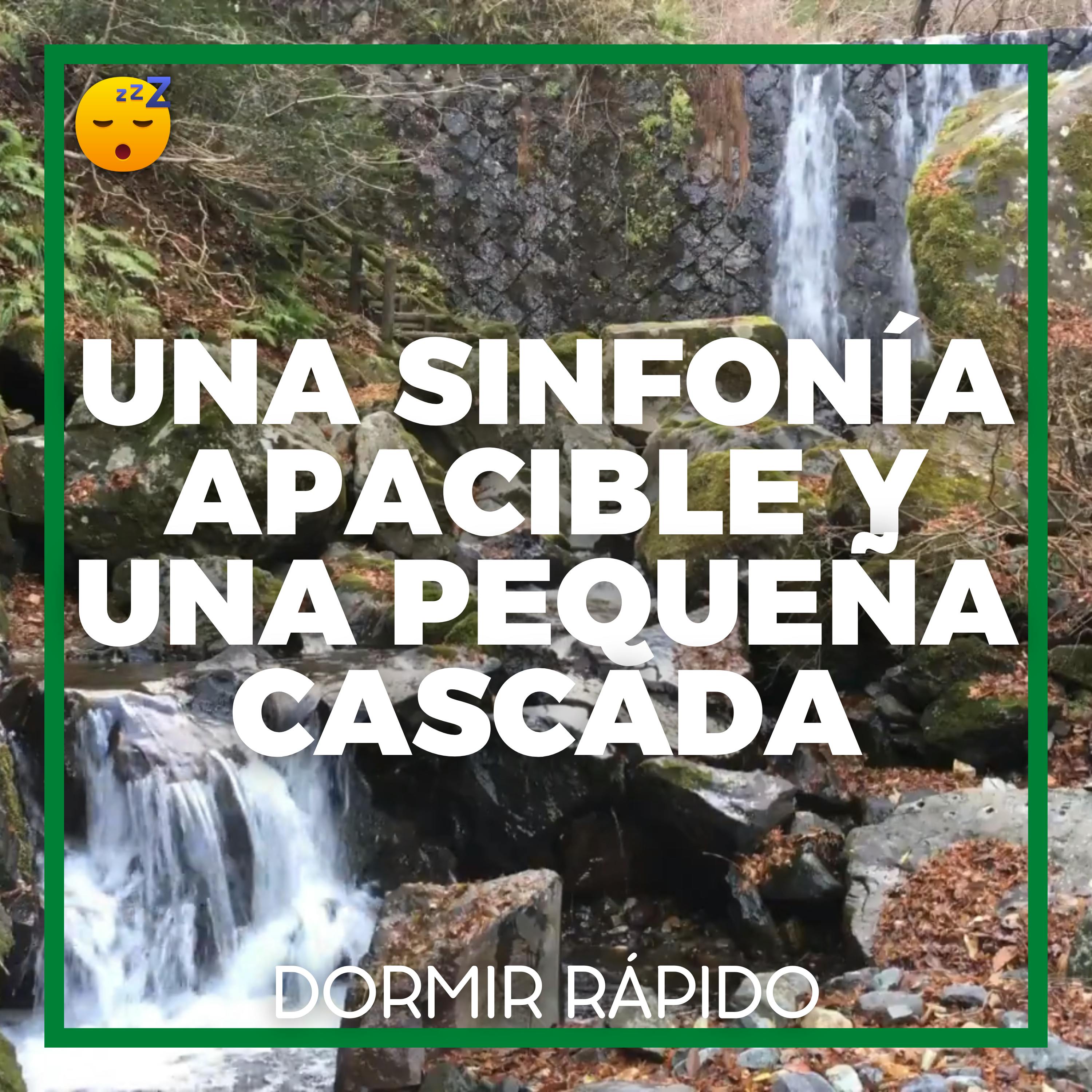 Una SINFONÍA Apacible y una Pequeña CASCADA para una Buena NOCHE de Descanso episode artwork