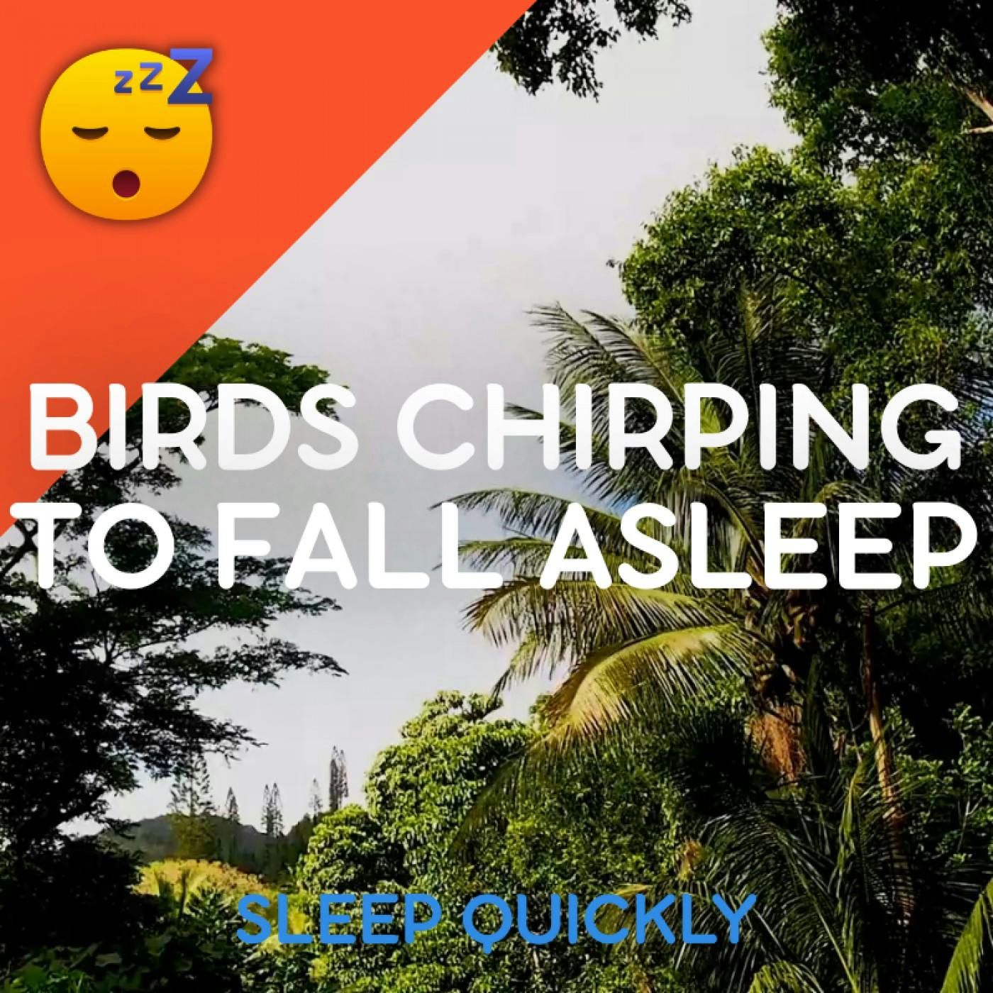 😴🍂 BIRDS Chirping in the Seaside episode artwork