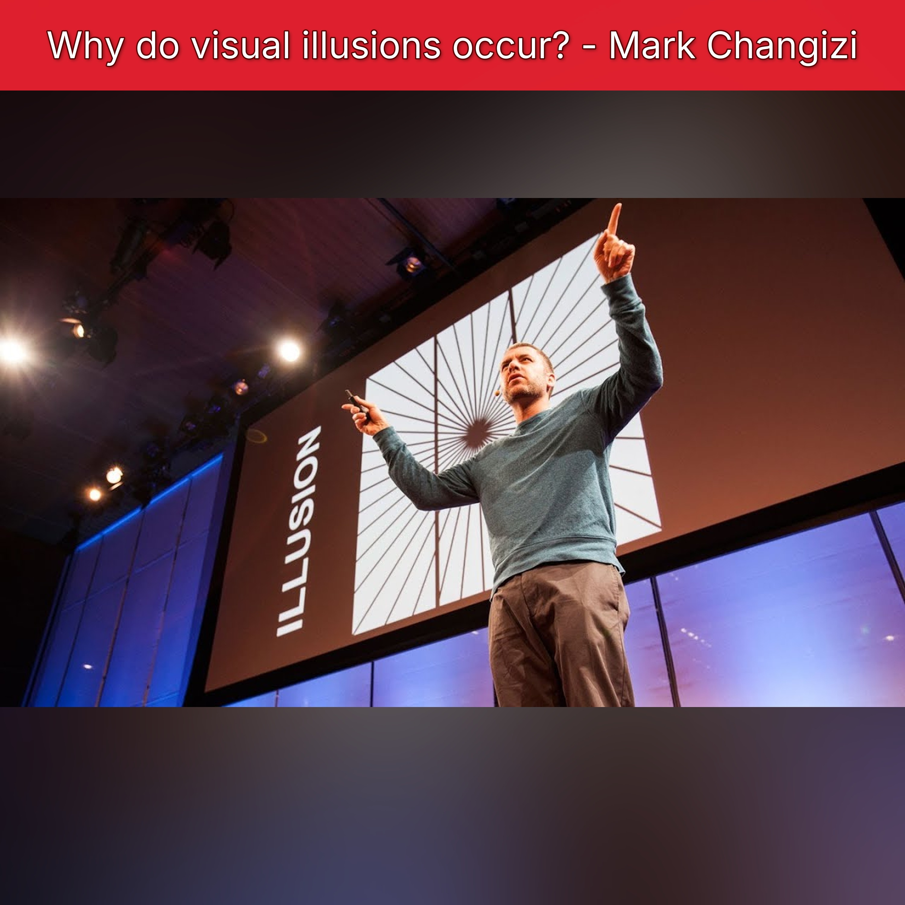 Why do visual illusions occur? - Mark Changizi episode artwork